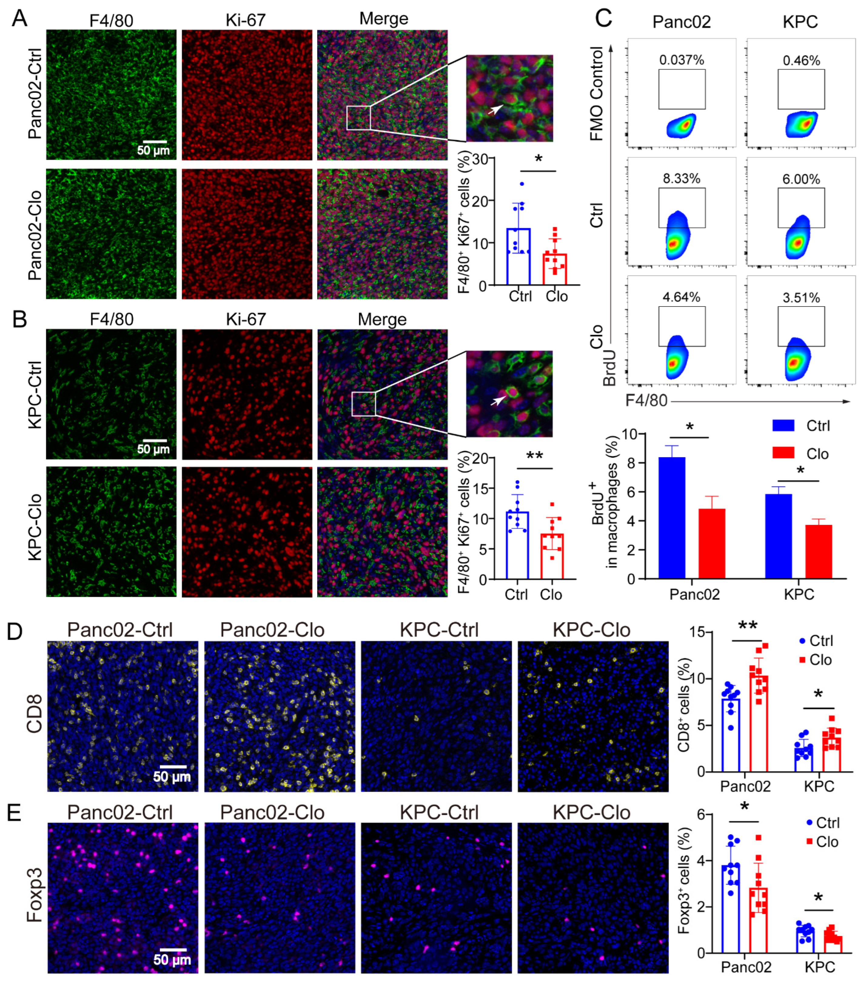 Cancers 14 01474 g004