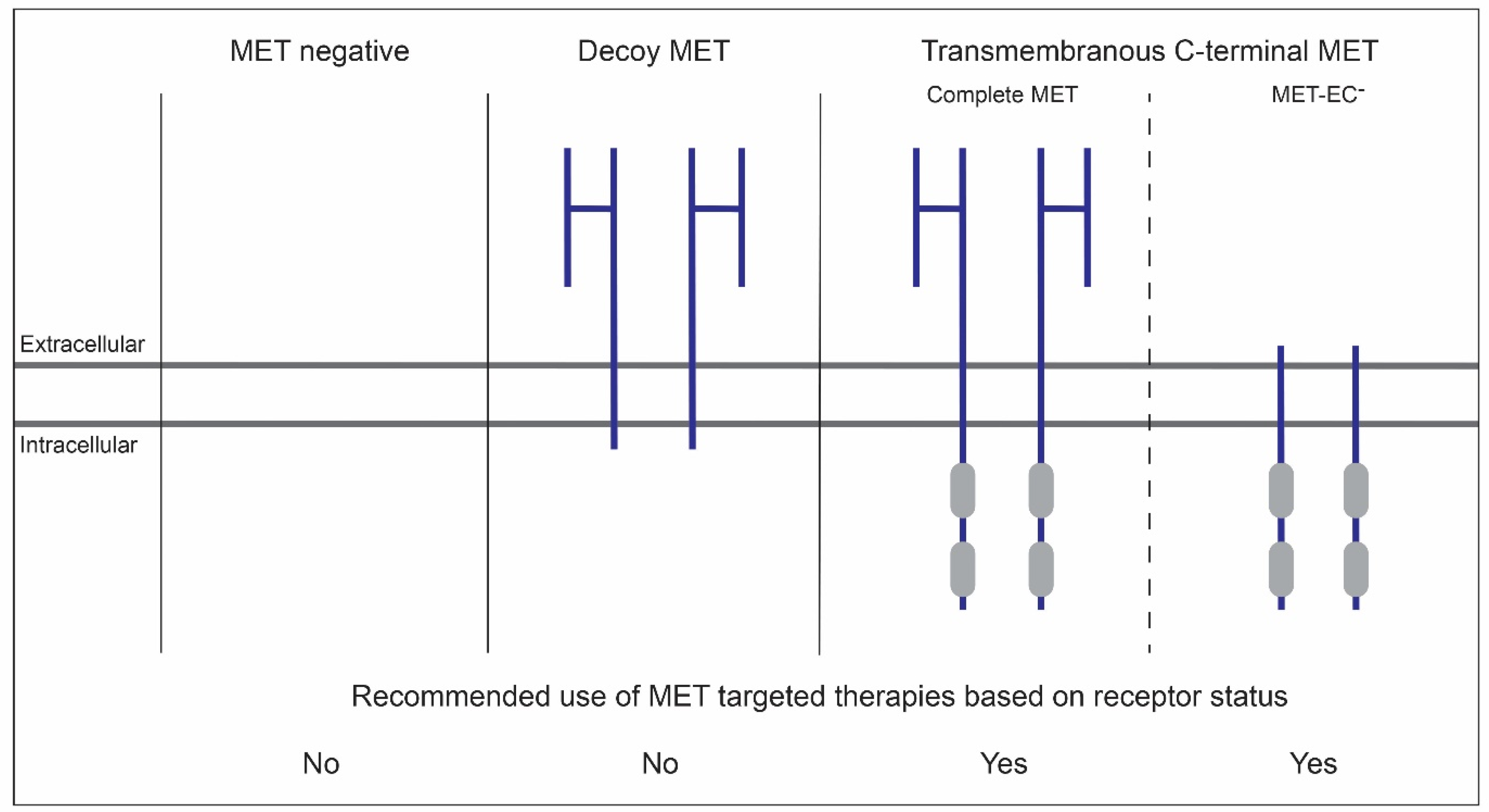 Cancers 14 01491 g003