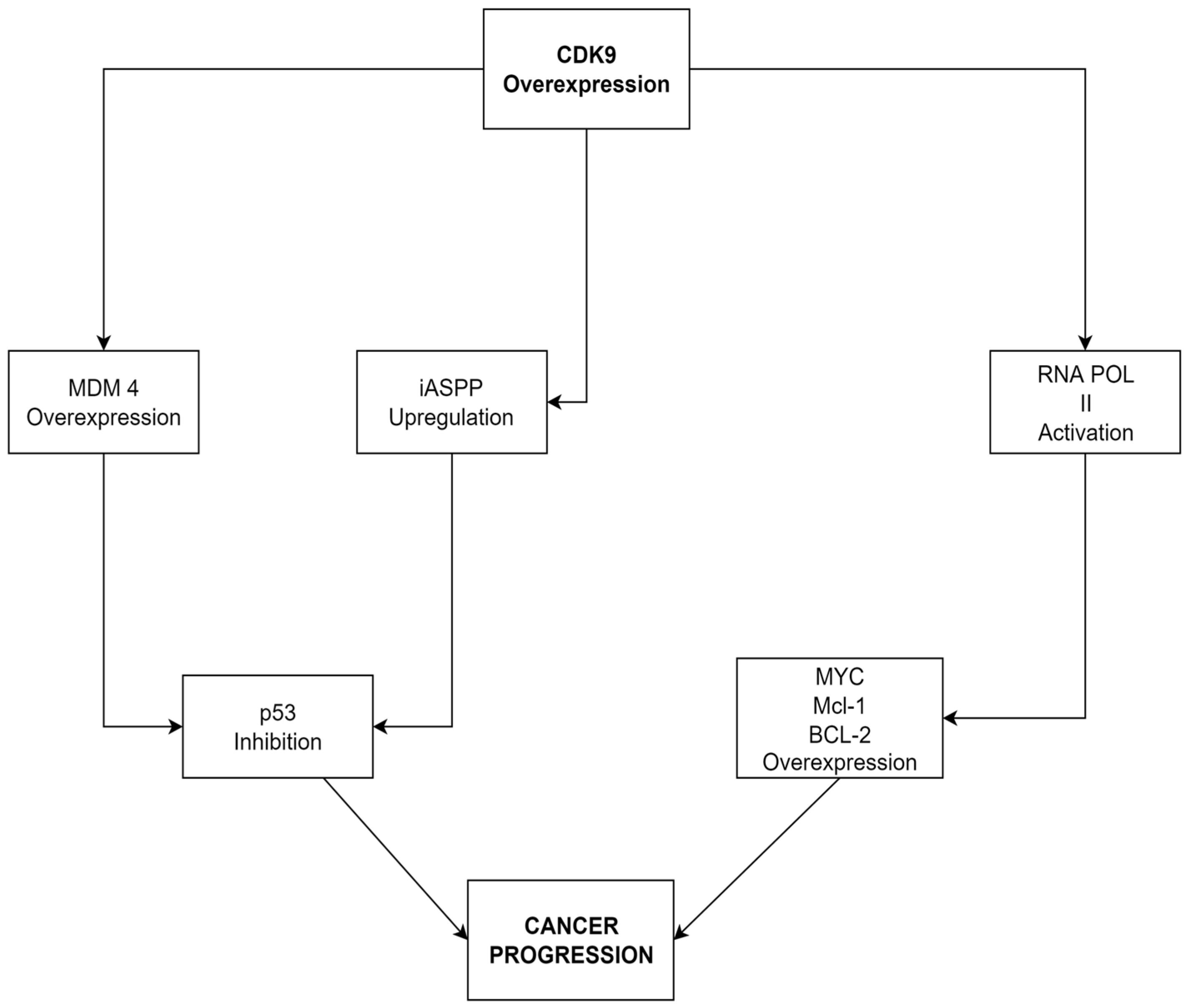 Cancers 14 01492 g005 Cancers 14 01492 g005