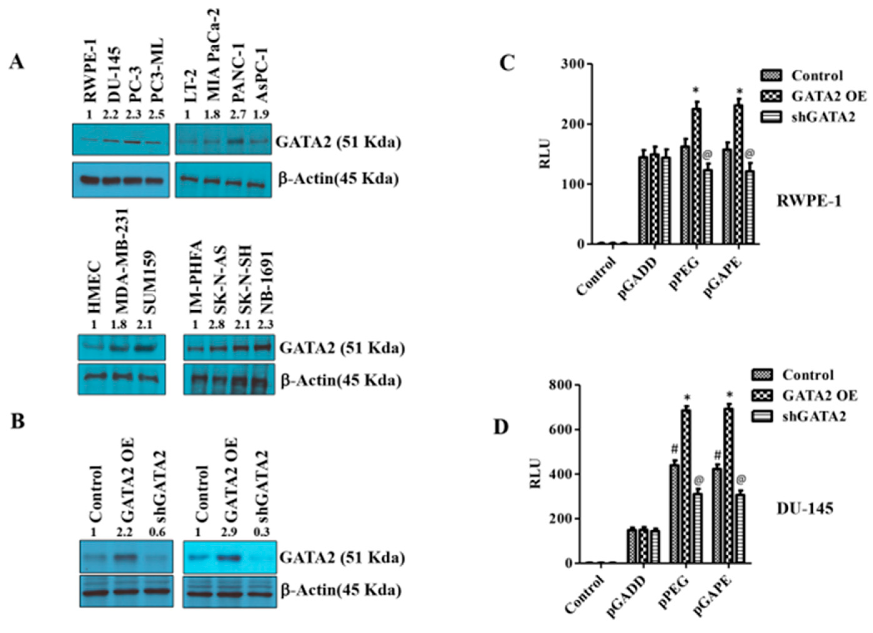 Cancers 14 01497 g004 Cancers 14 01497 g004