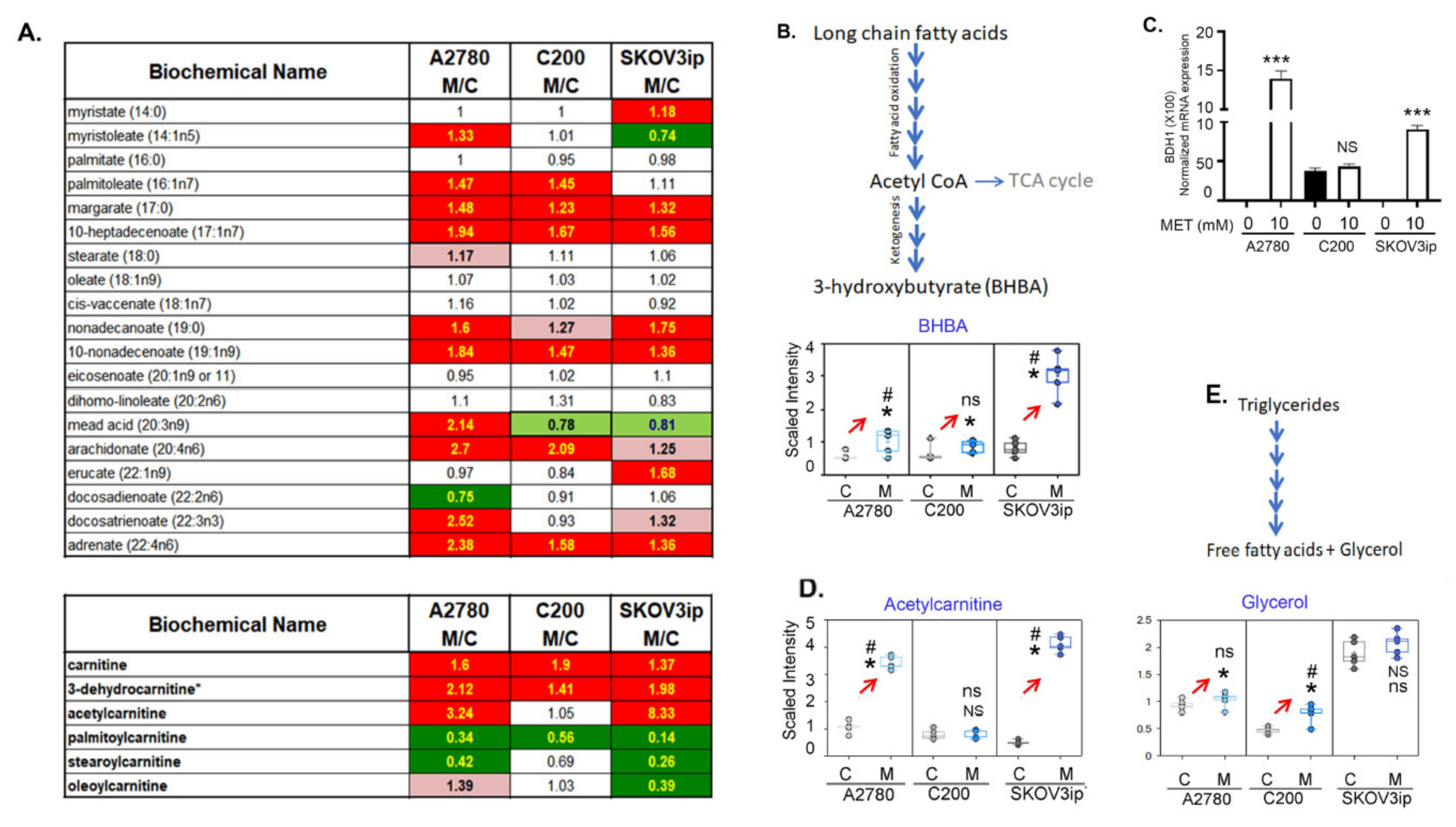 Cancers 14 01504 g004