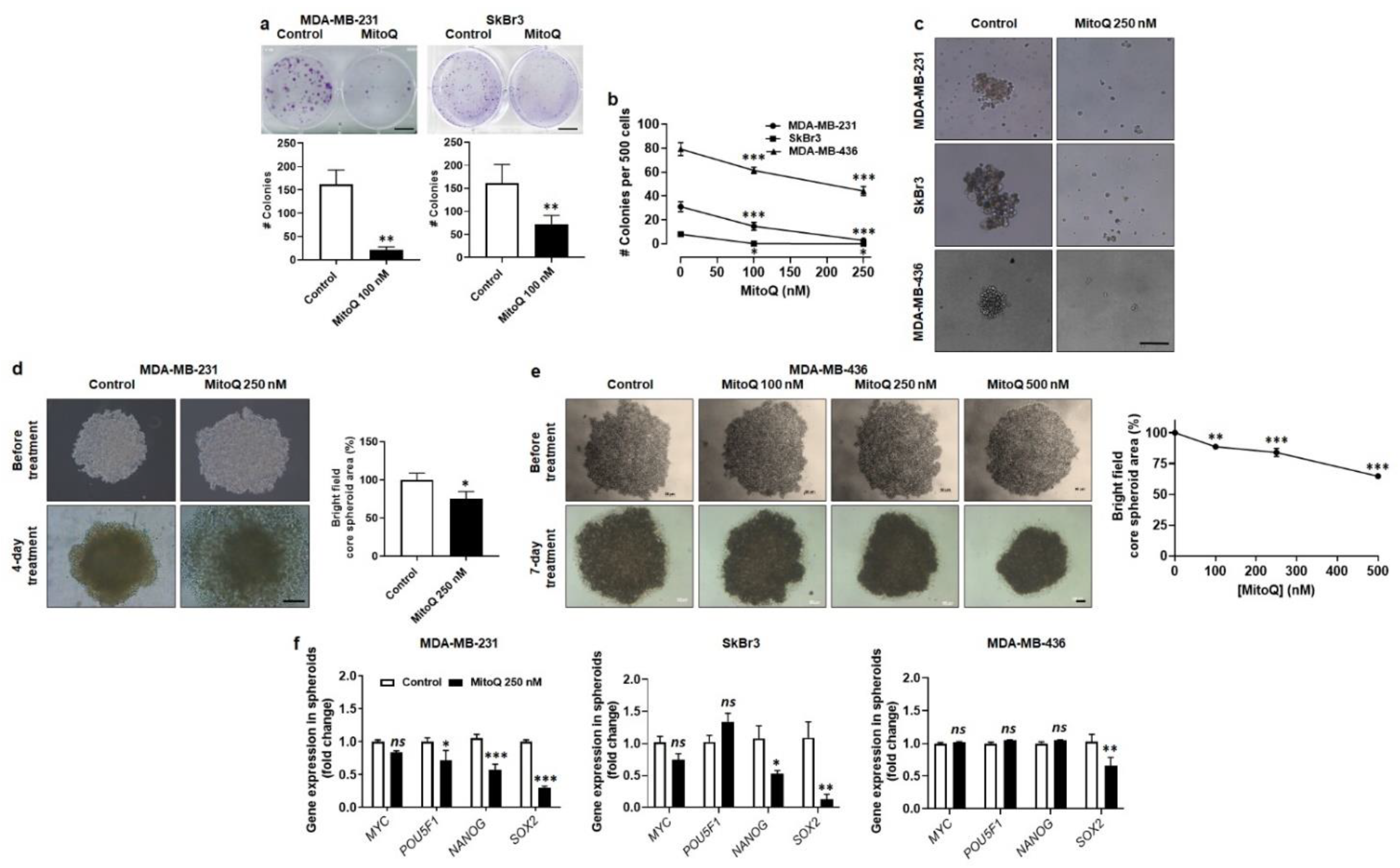 Cancers 14 01516 g006