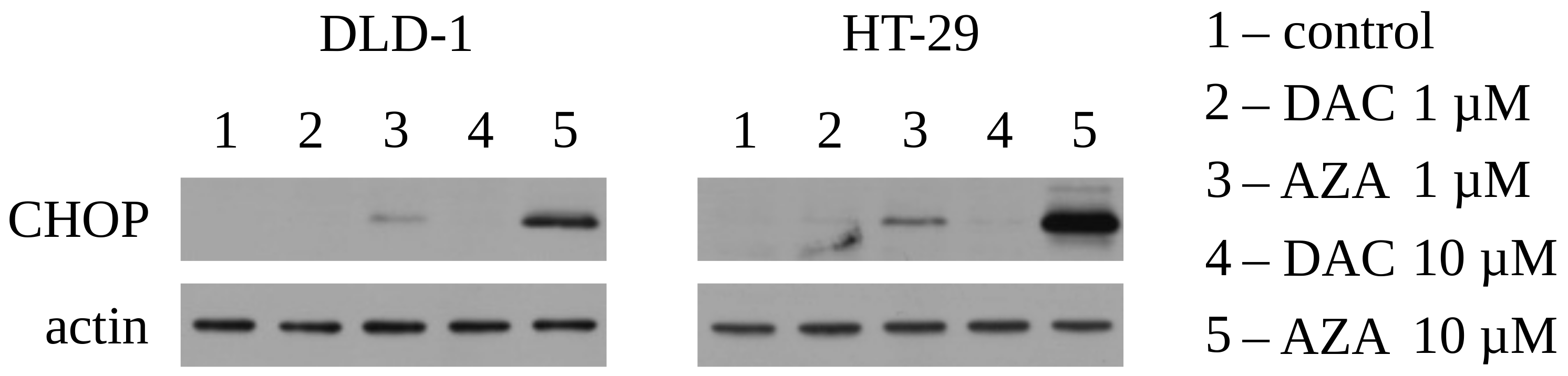 Cancers 14 01530 g003 Cancers 14 01530 g003