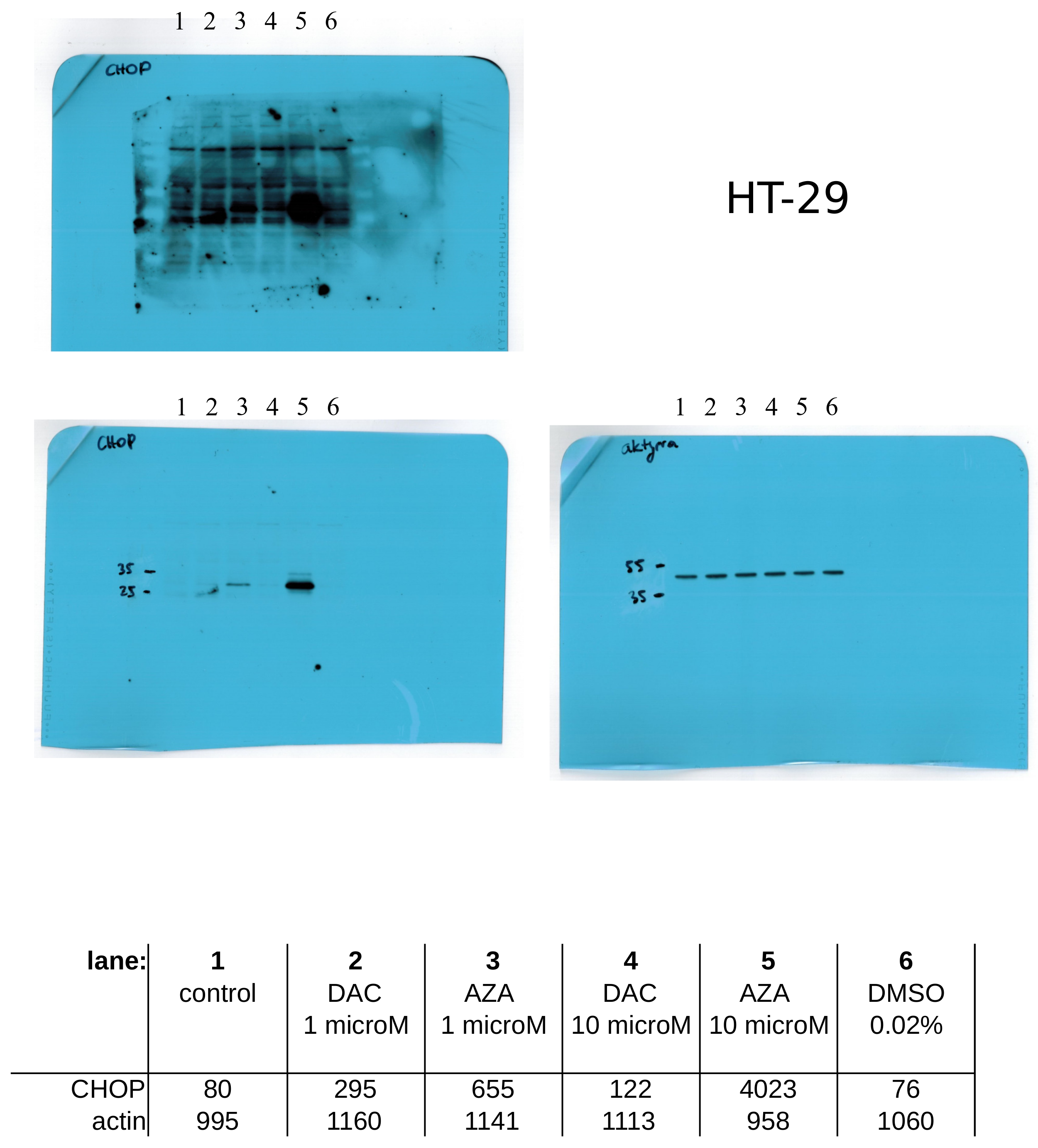 Cancers 14 01530 g0a11 Cancers 14 01530 g0a11