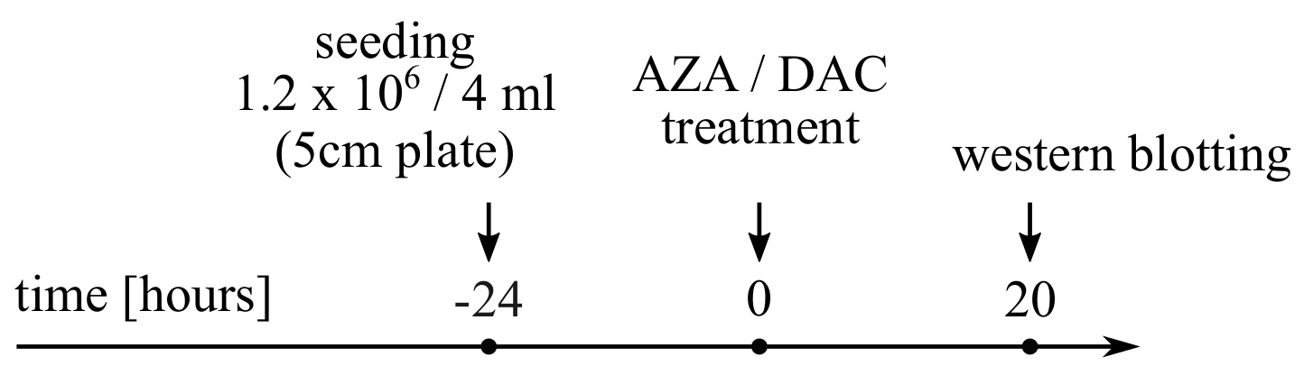 Cancers 14 01530 g0a3 Cancers 14 01530 g0a3