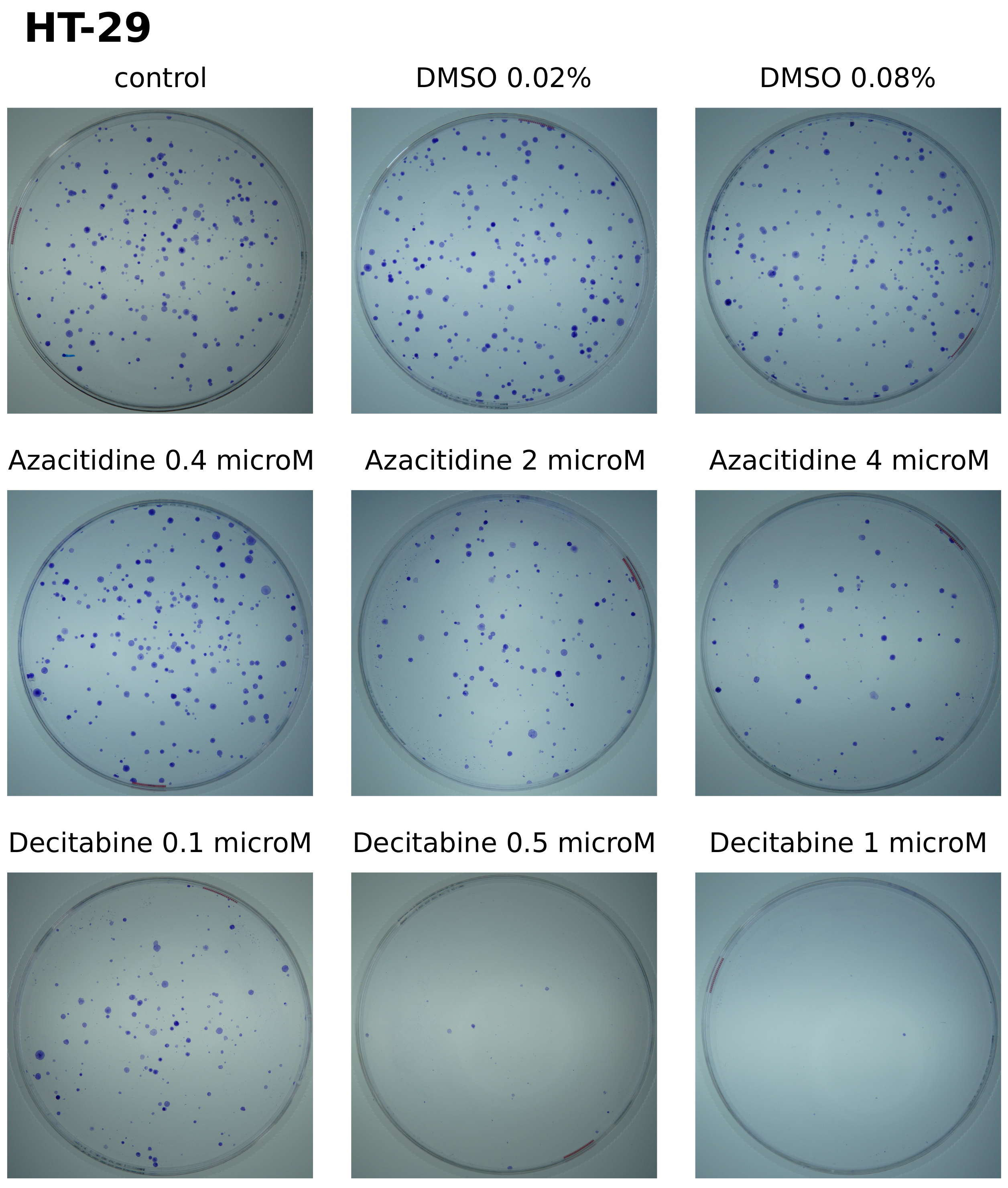 Cancers 14 01530 g0a8 Cancers 14 01530 g0a8
