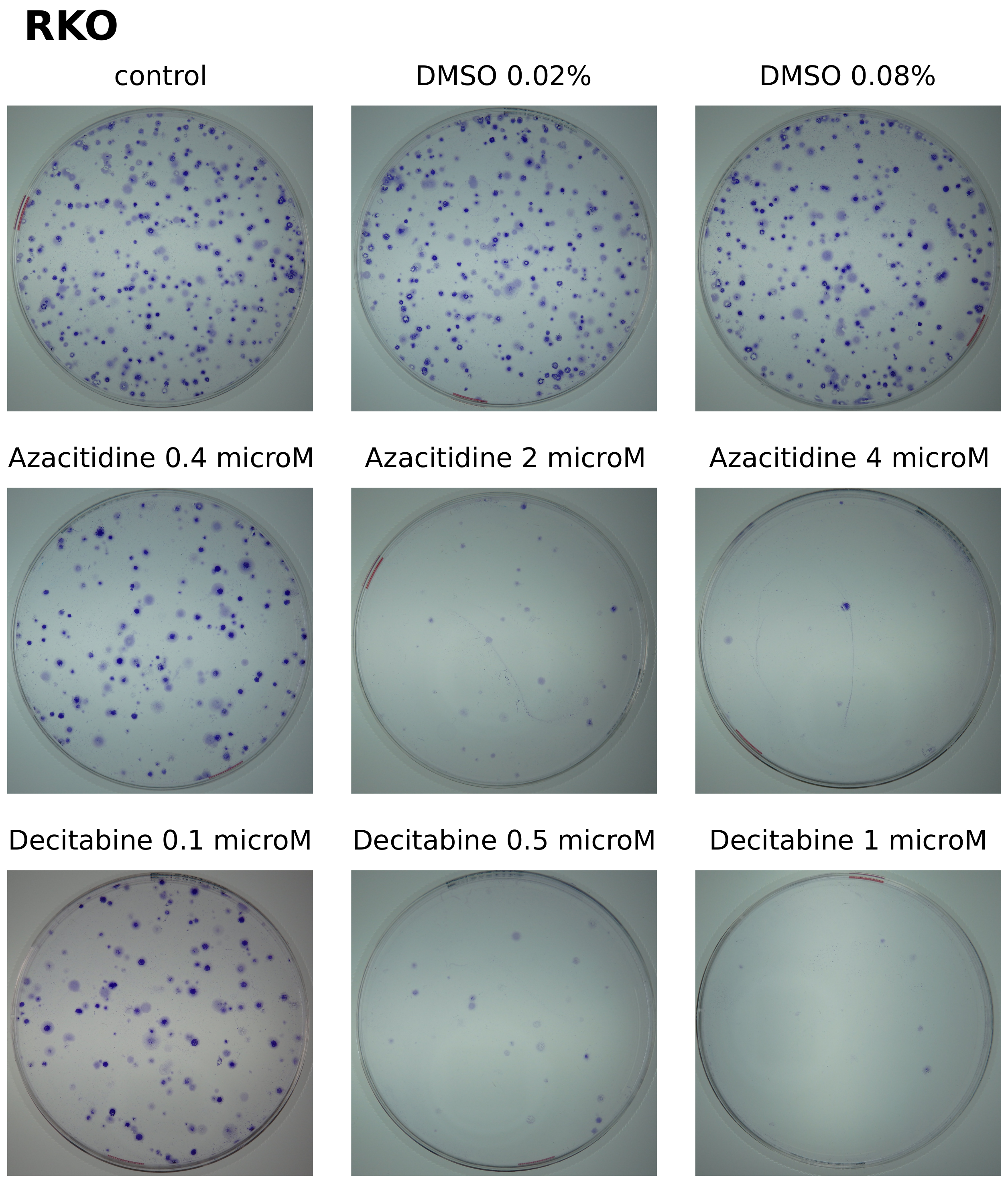Cancers 14 01530 g0a9 Cancers 14 01530 g0a9