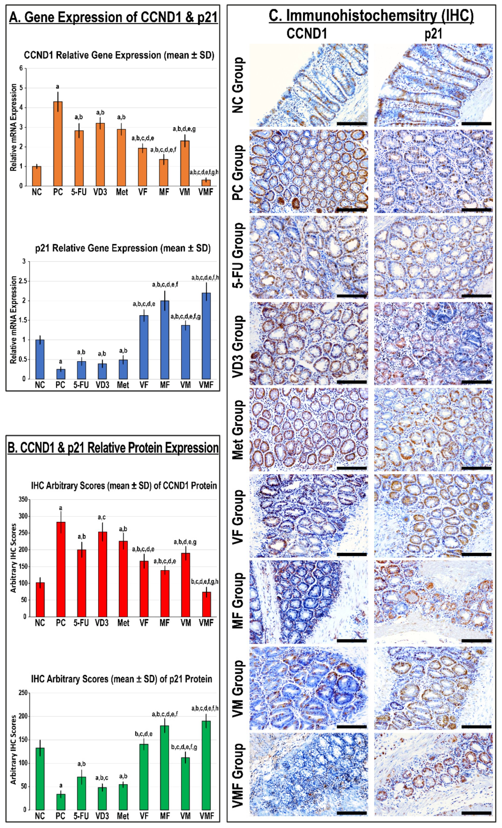 Cancers 14 01538 g002