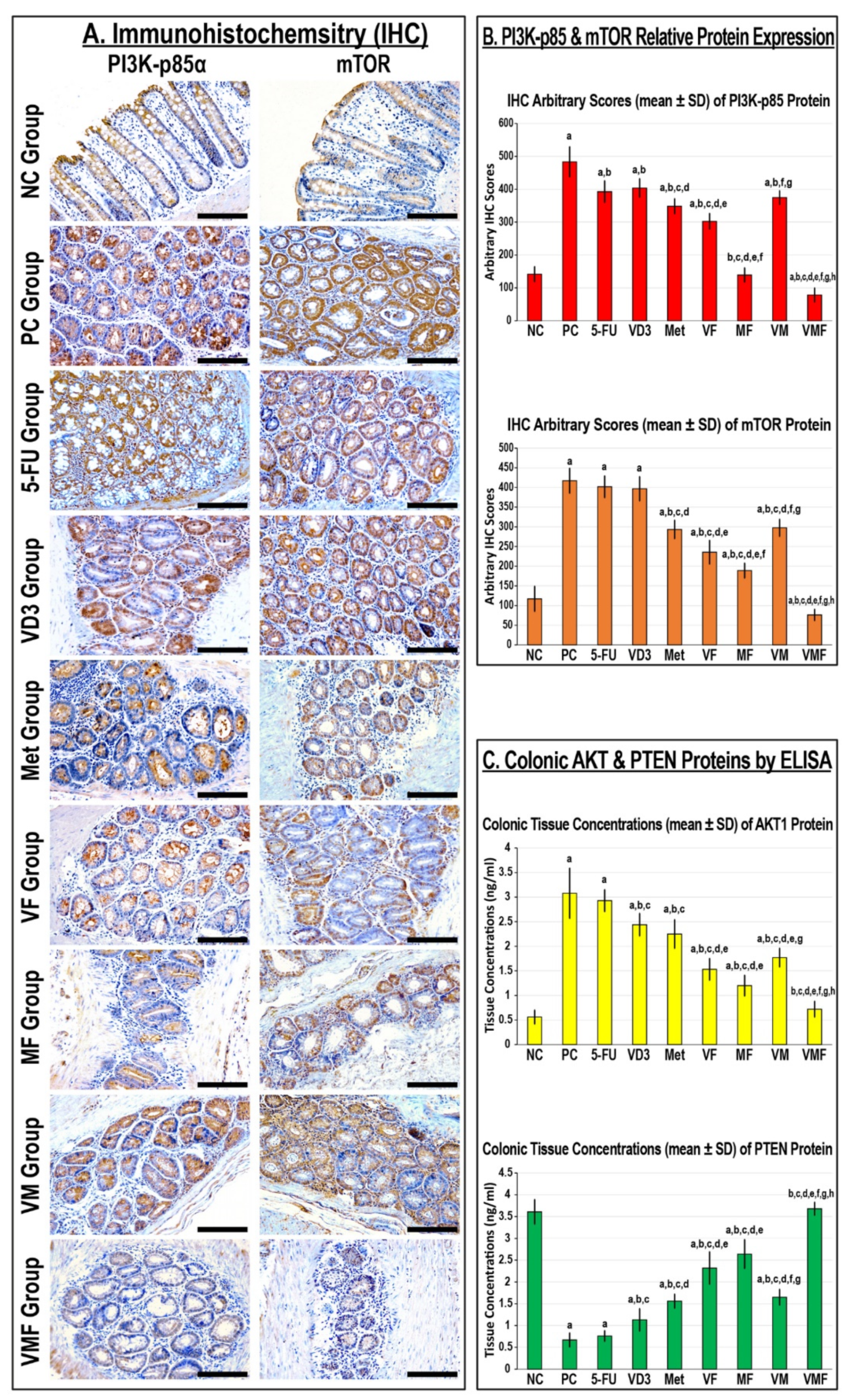 Cancers 14 01538 g008