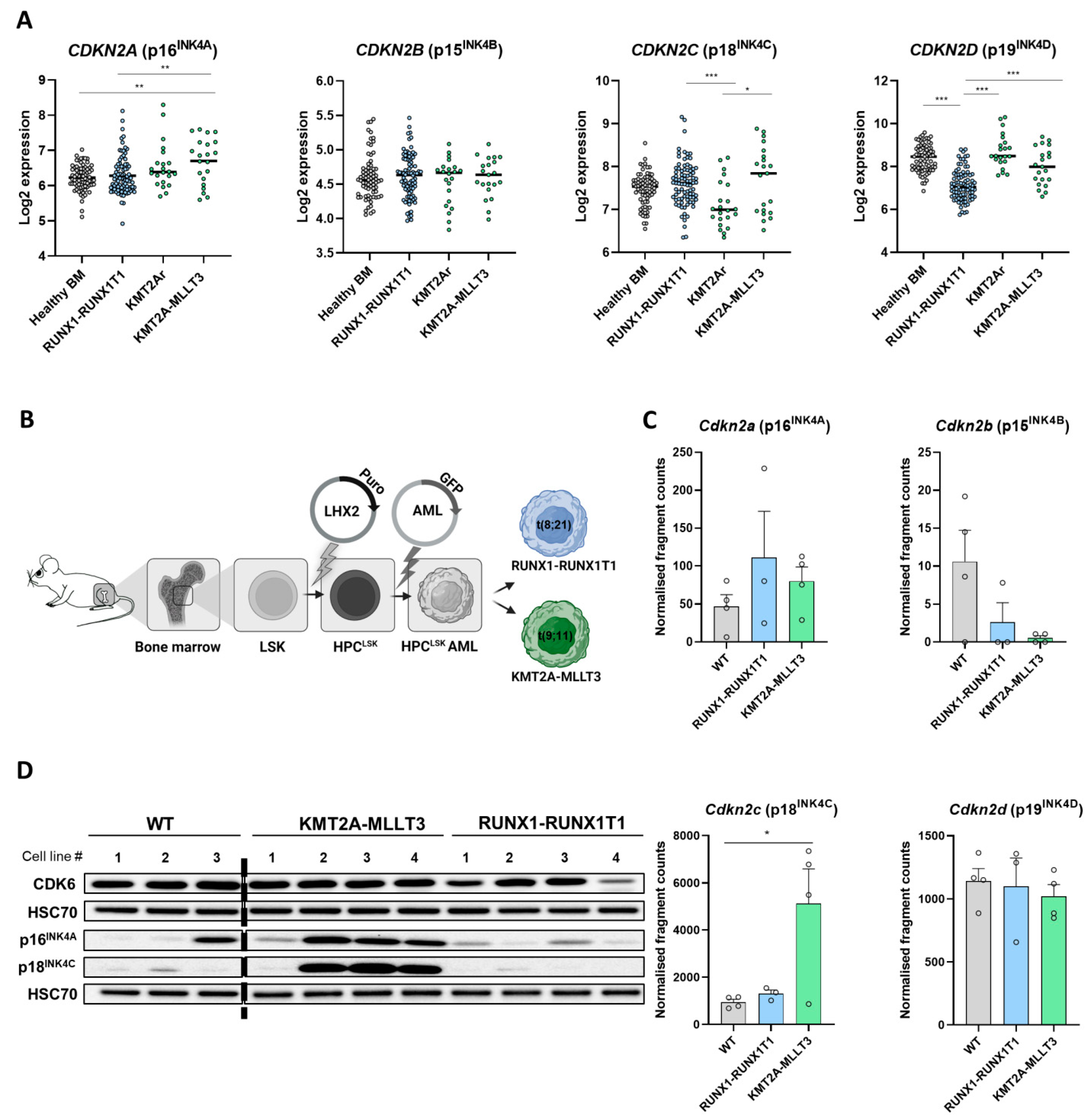 Cancers 14 01554 g001