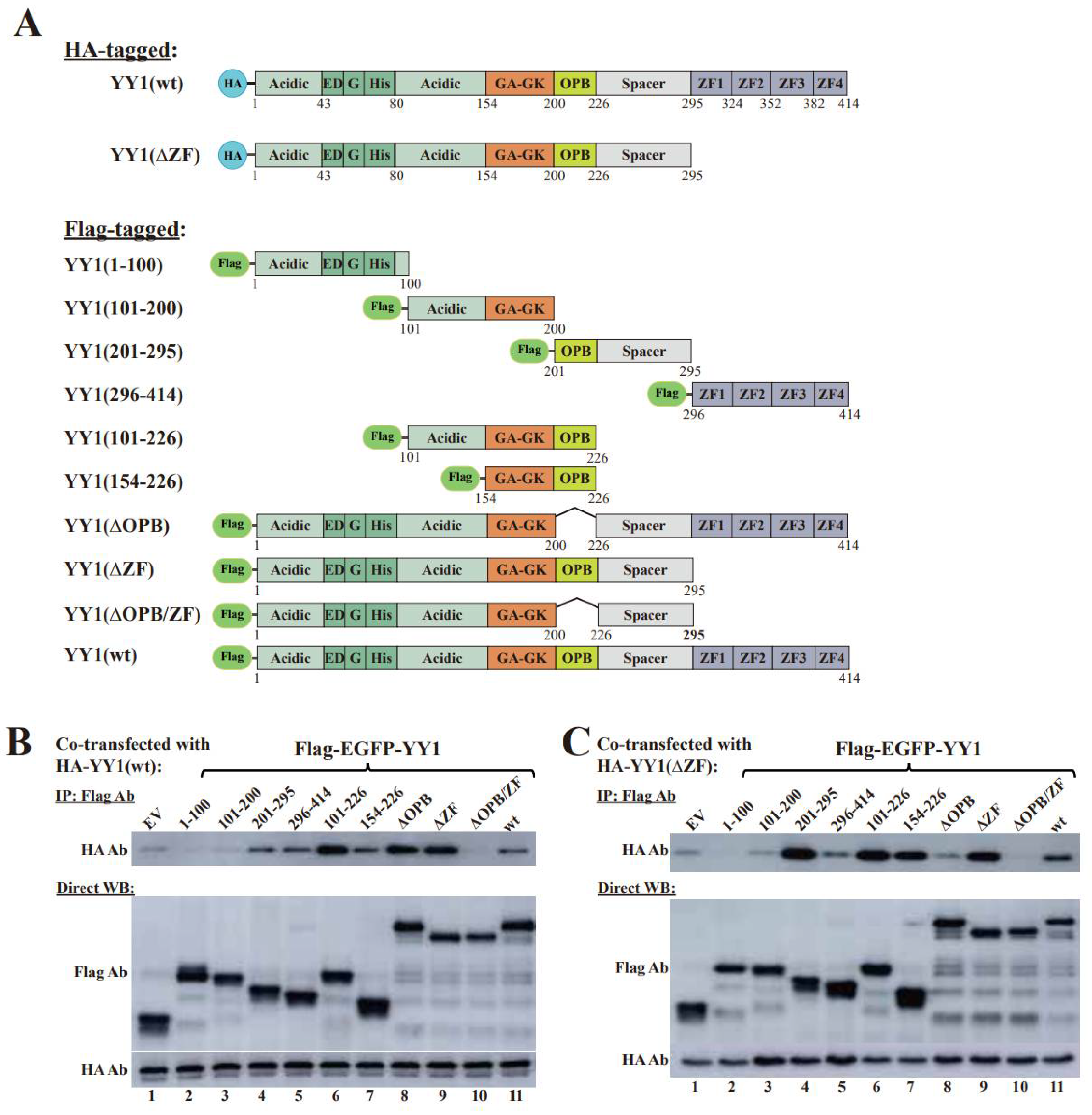 Cancers 14 01611 g002a