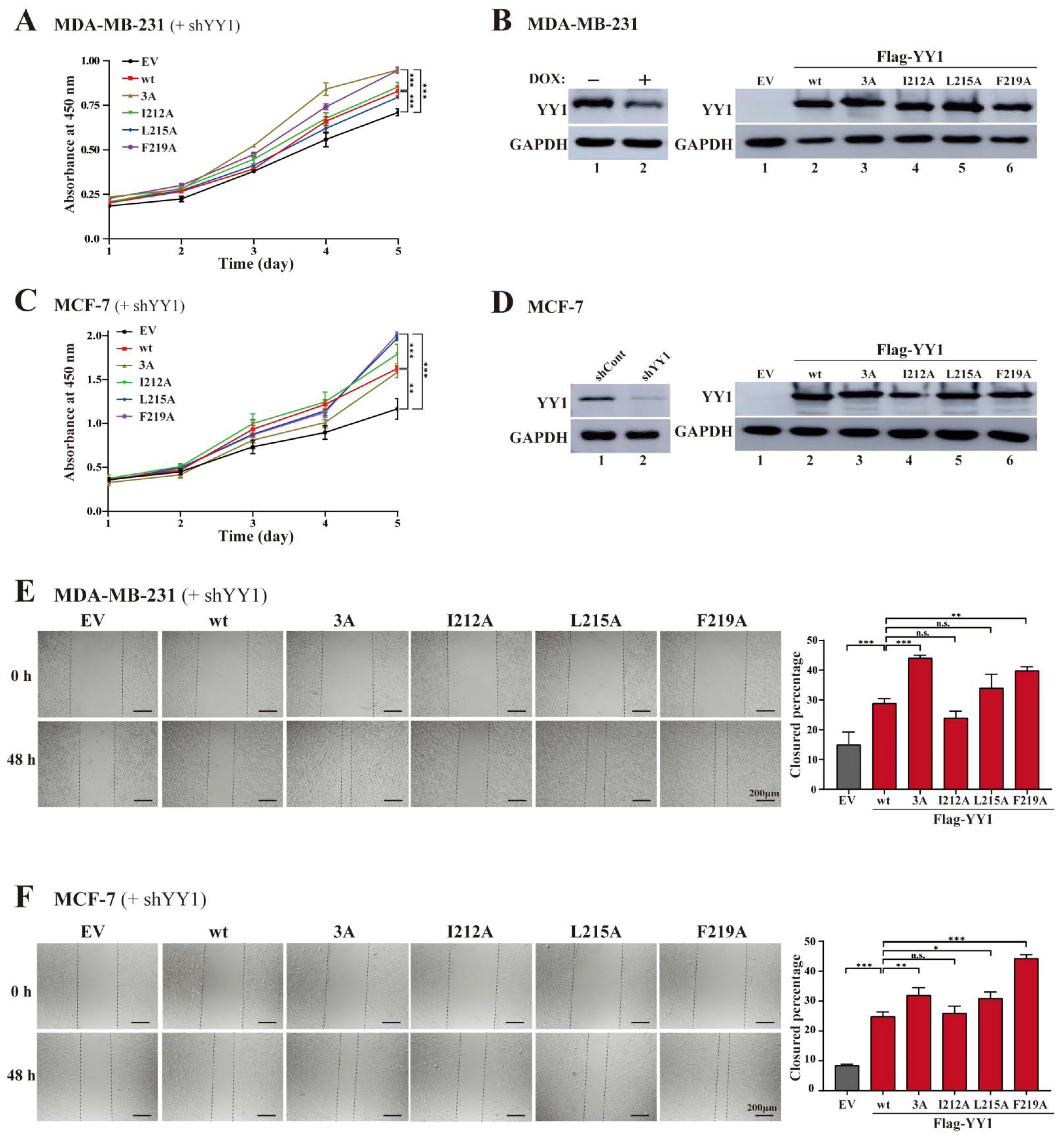Cancers 14 01611 g004