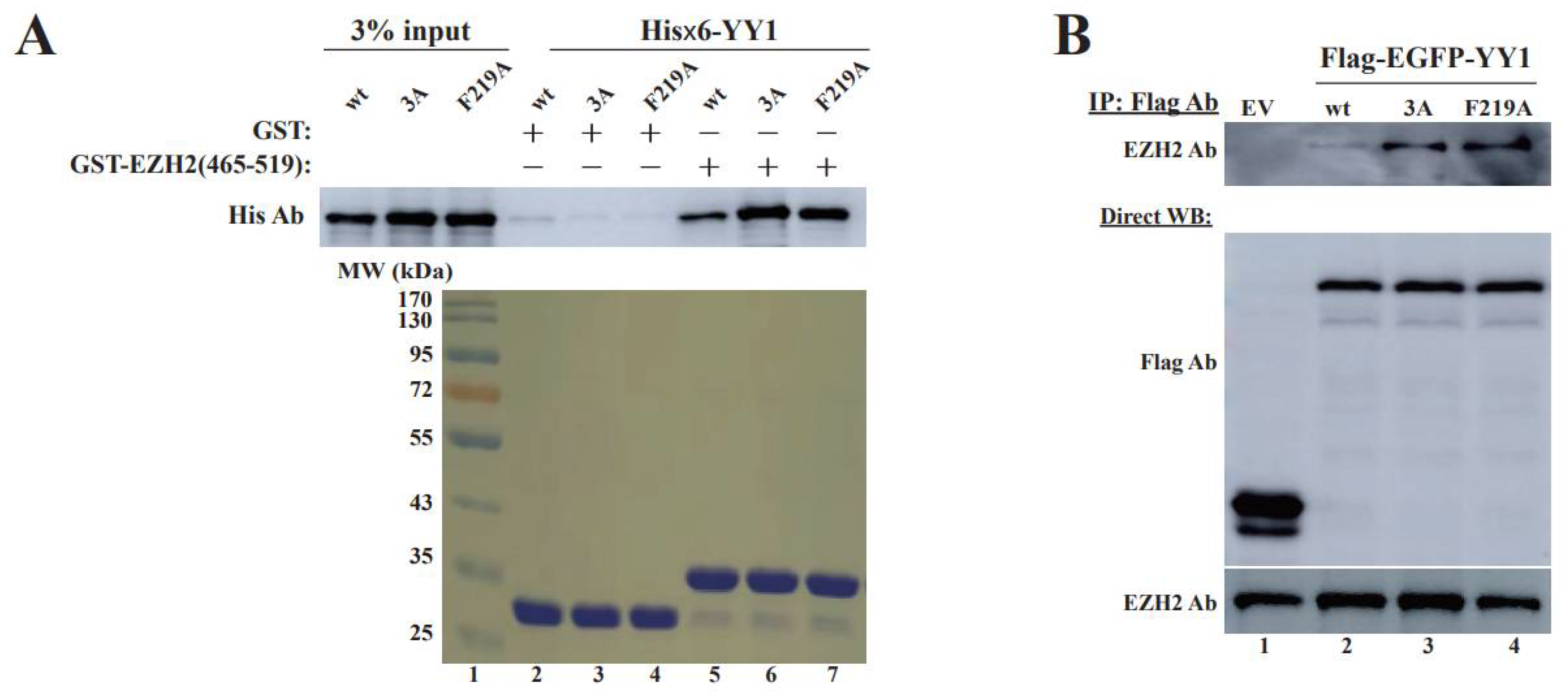 Cancers 14 01611 g005a