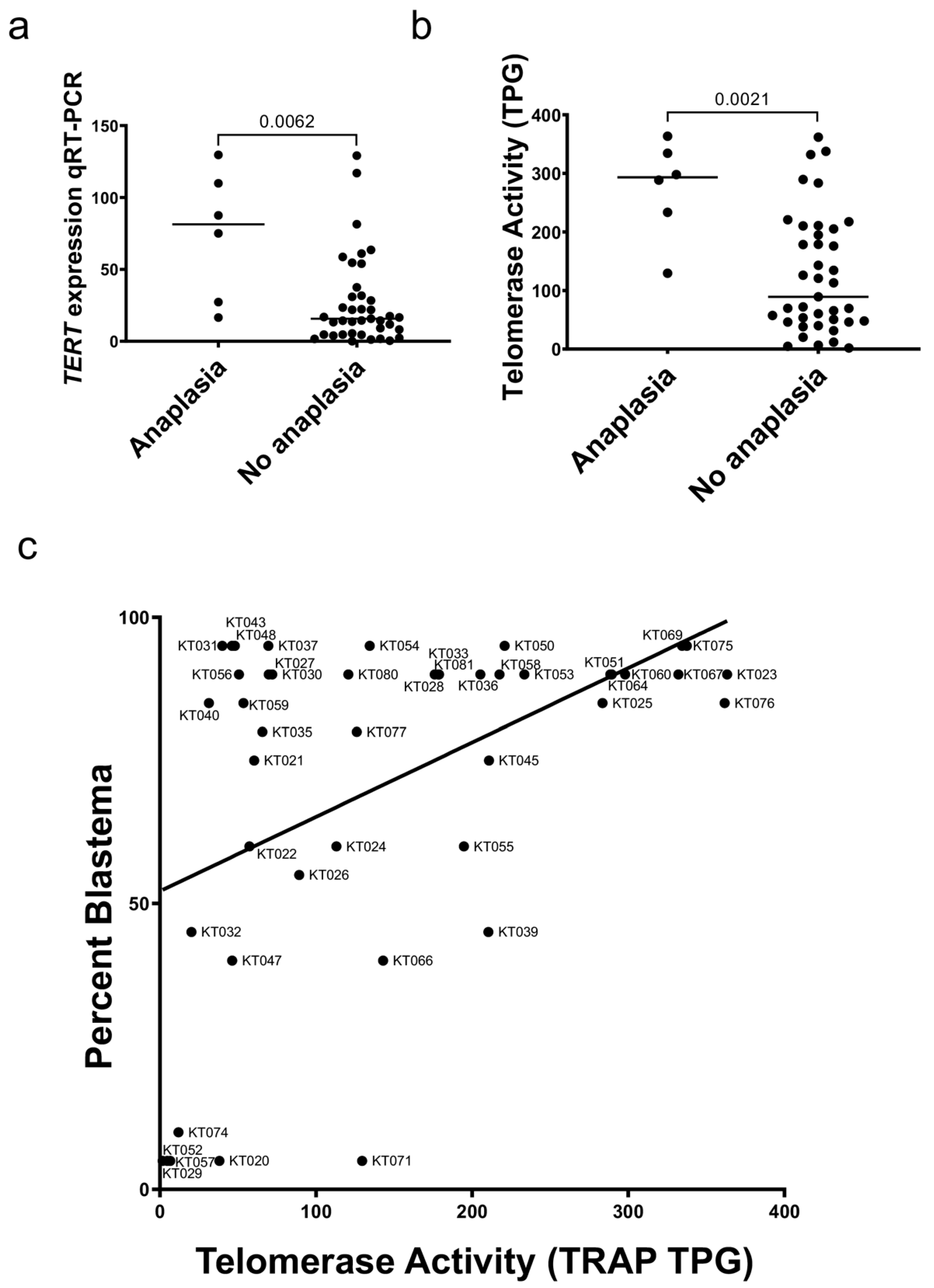 Cancers 14 01655 g003 Cancers 14 01655 g003