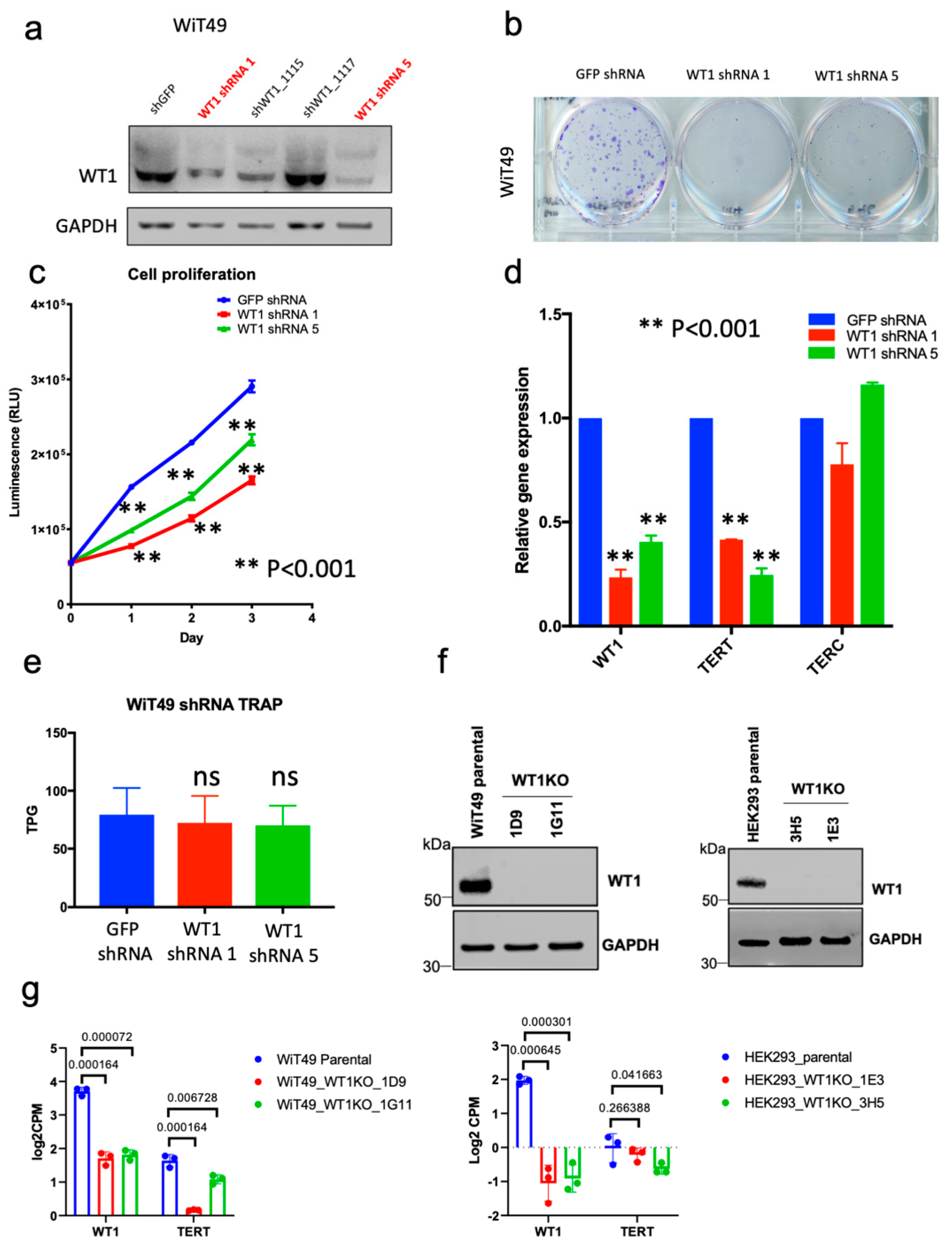 Cancers 14 01655 g004 Cancers 14 01655 g004