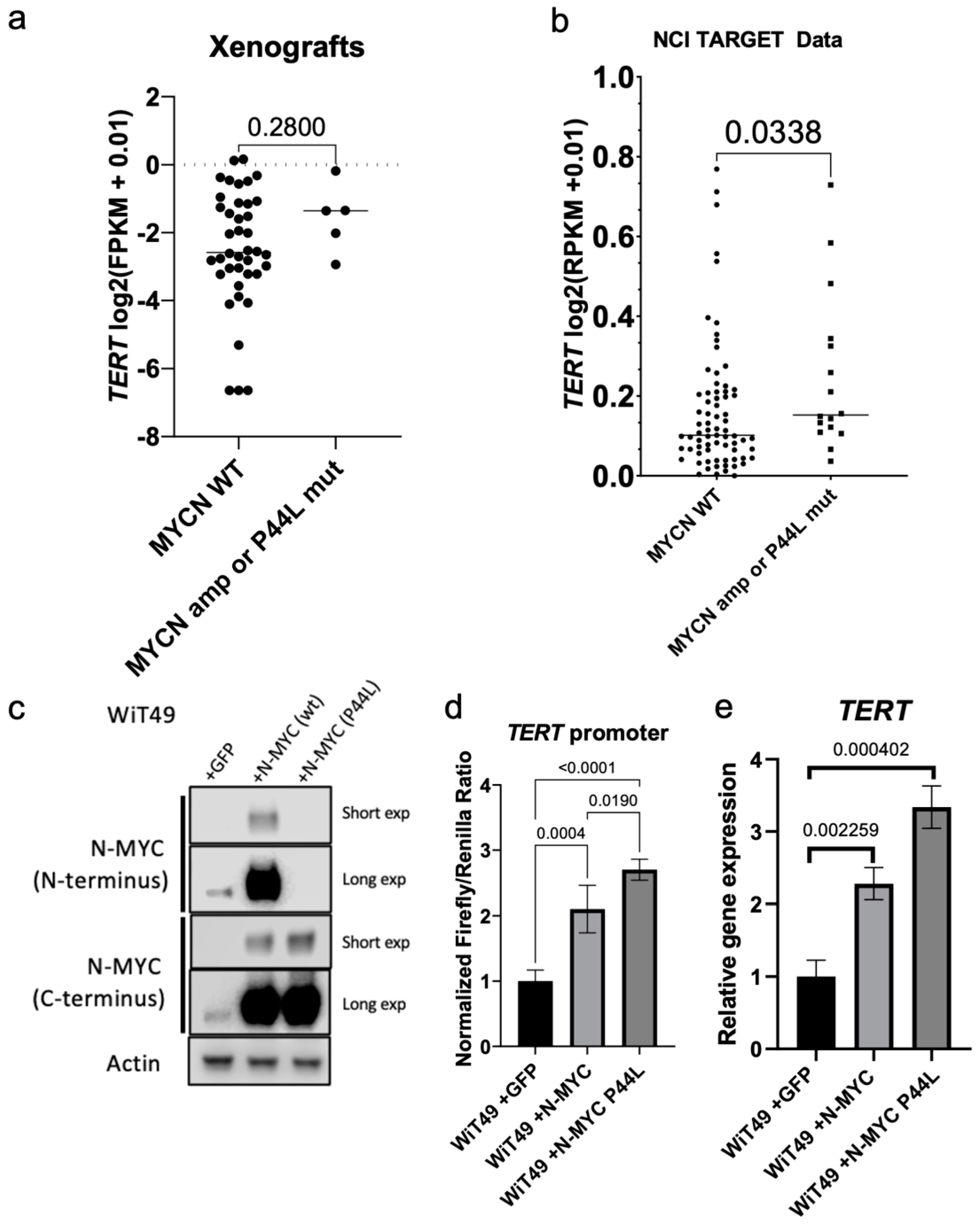Cancers 14 01655 g006 Cancers 14 01655 g006