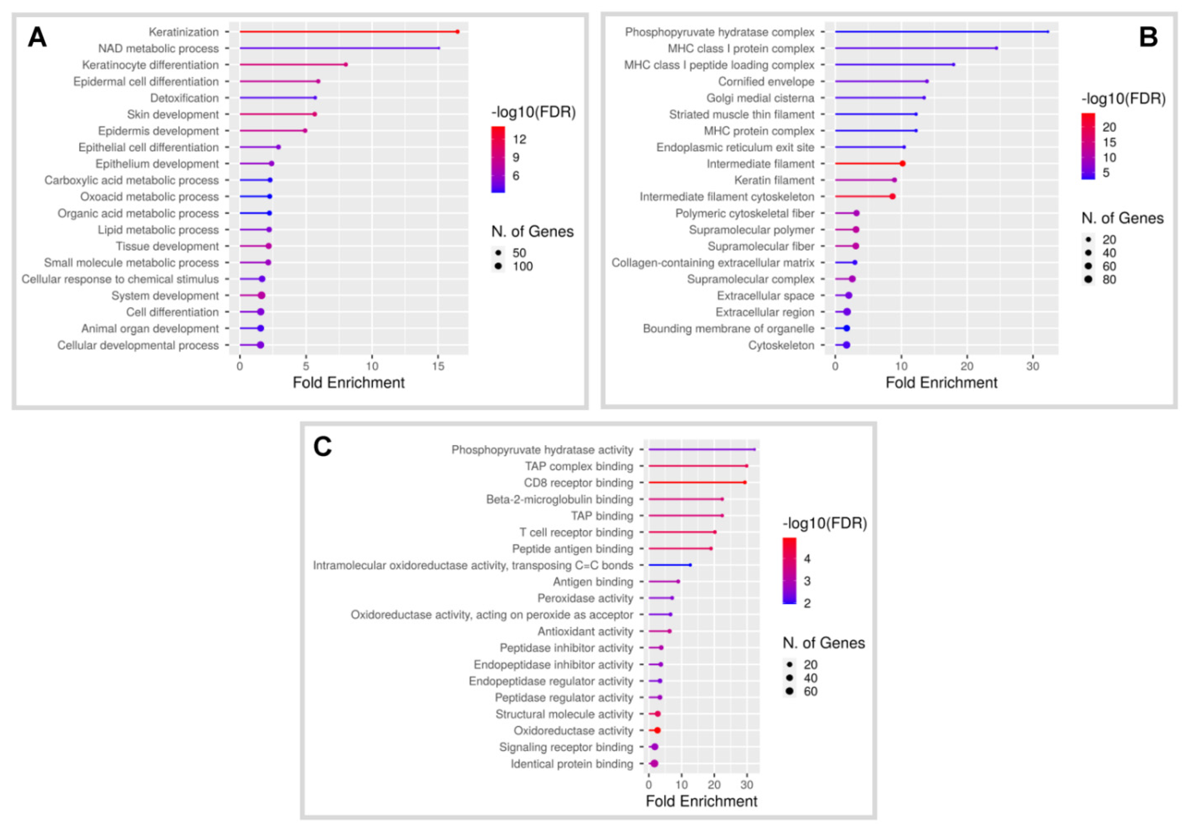 Cancers 14 01662 g001 Cancers 14 01662 g001