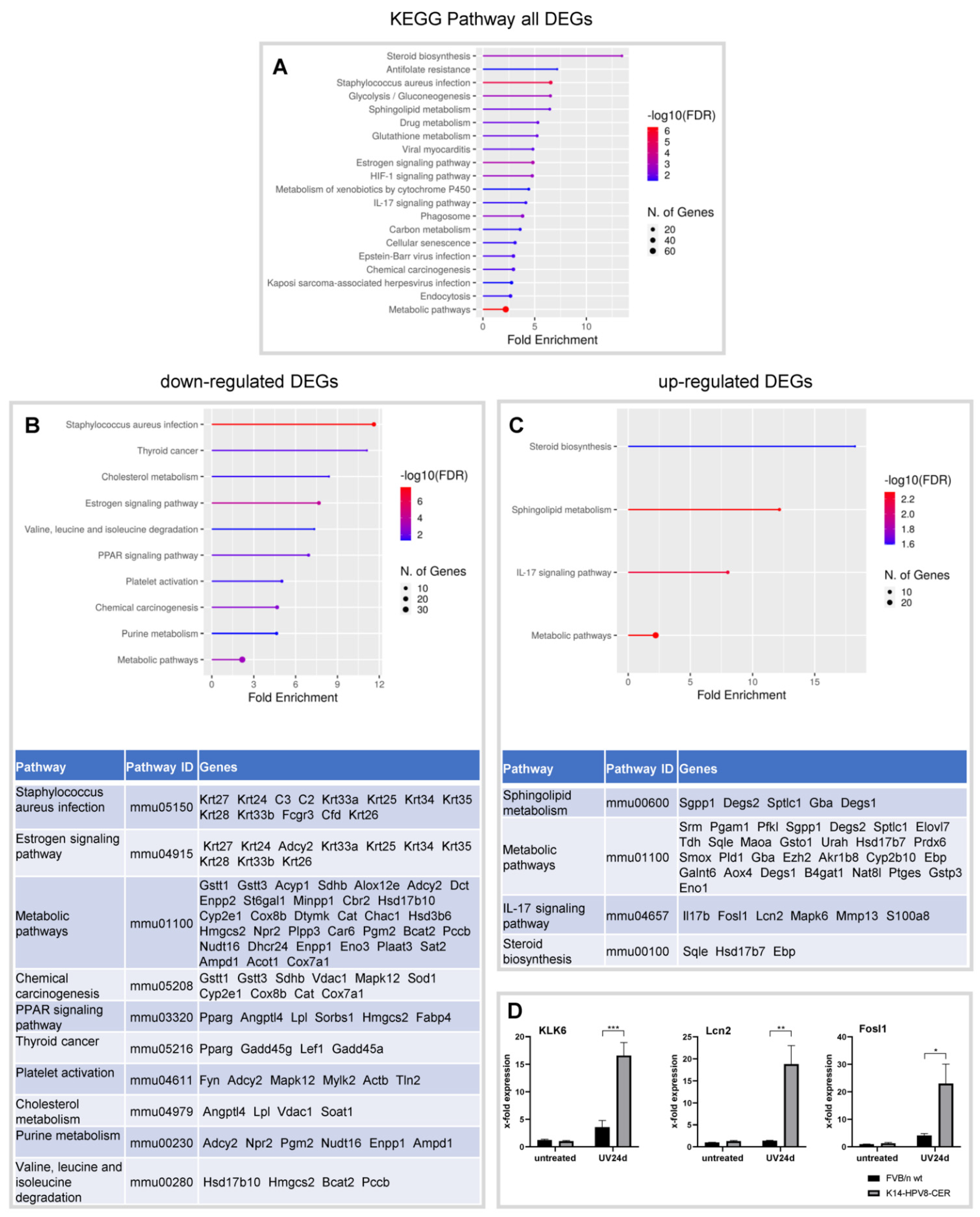 Cancers 14 01662 g002 Cancers 14 01662 g002