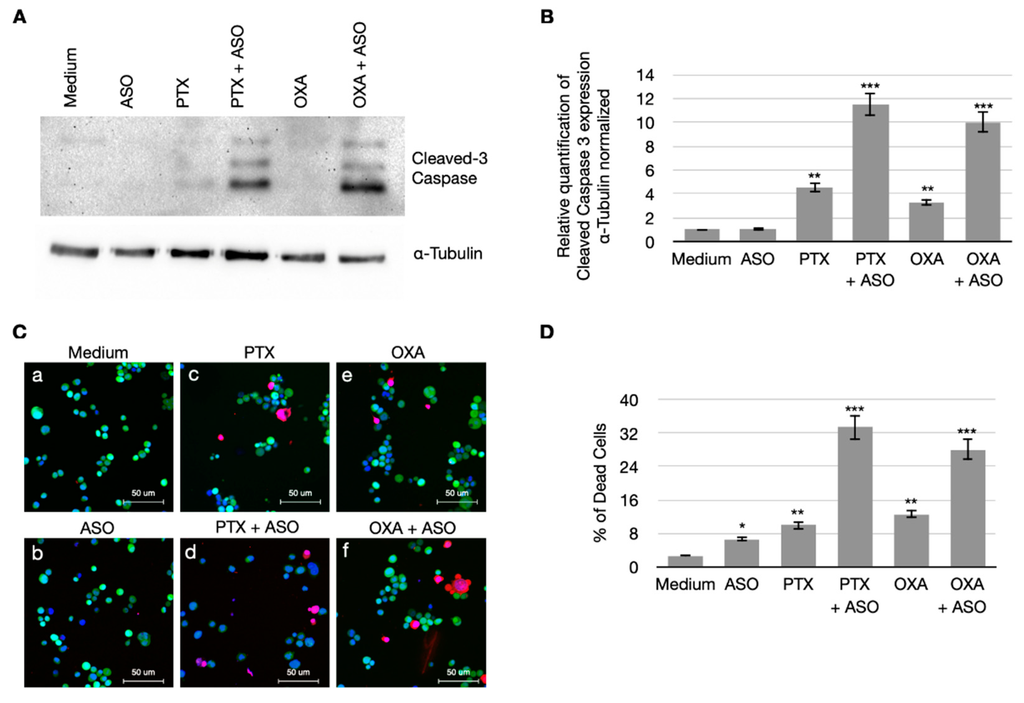 Cancers 14 01687 g005