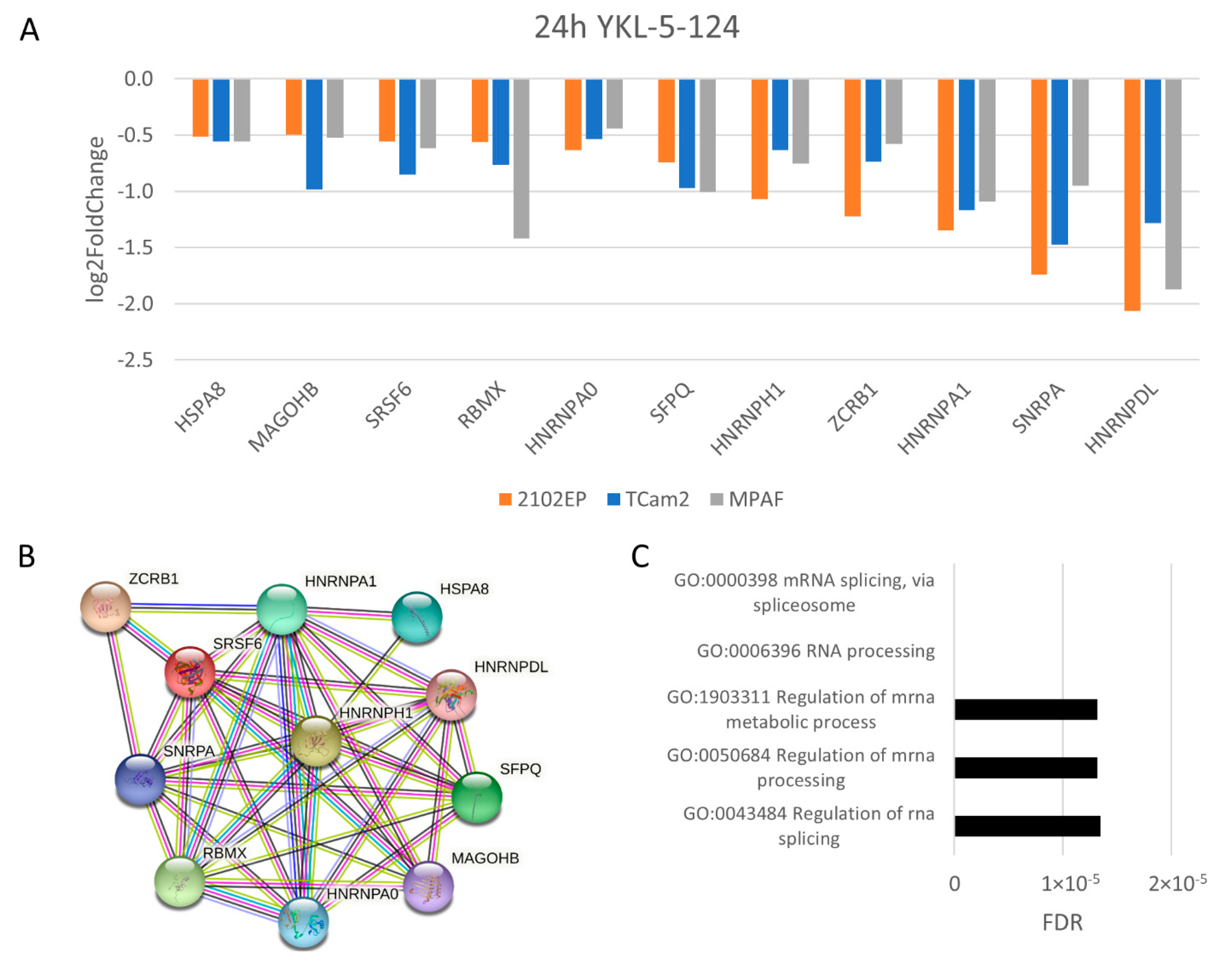 Cancers 14 01690 g005