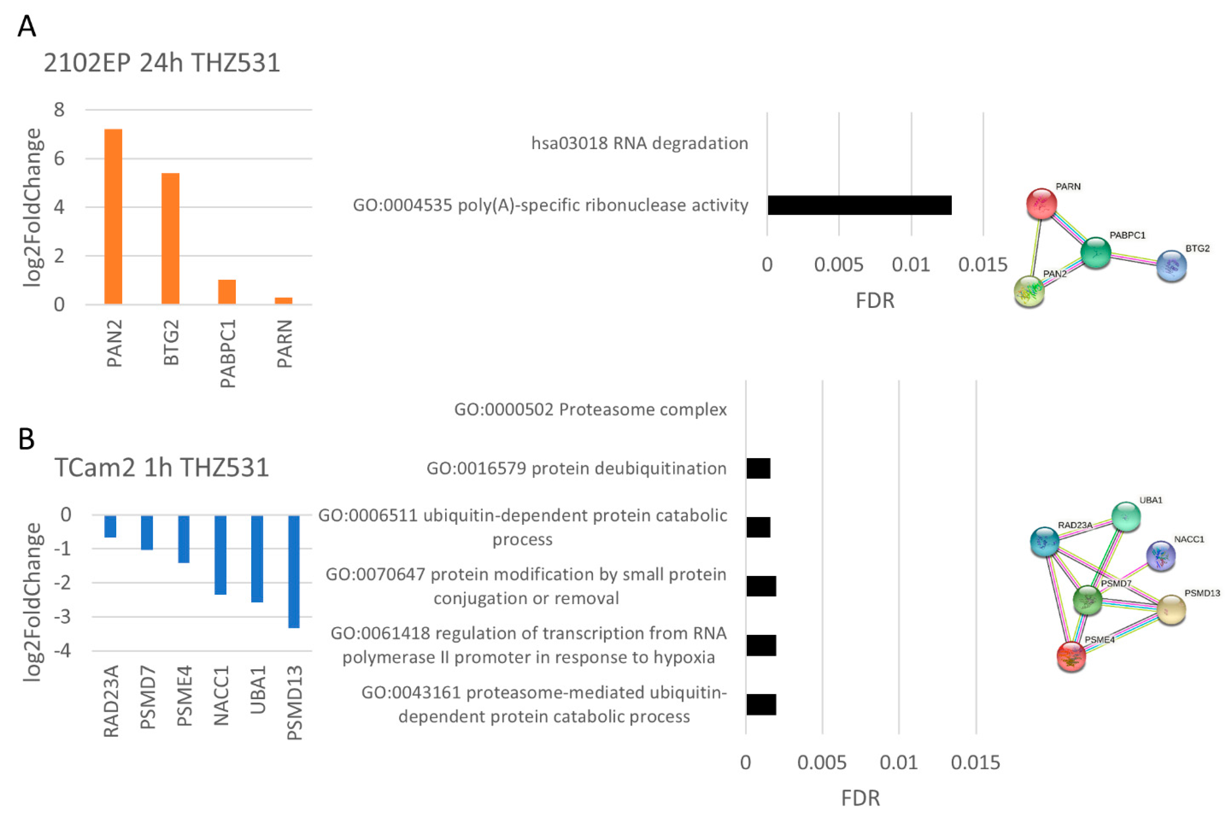 Cancers 14 01690 g008