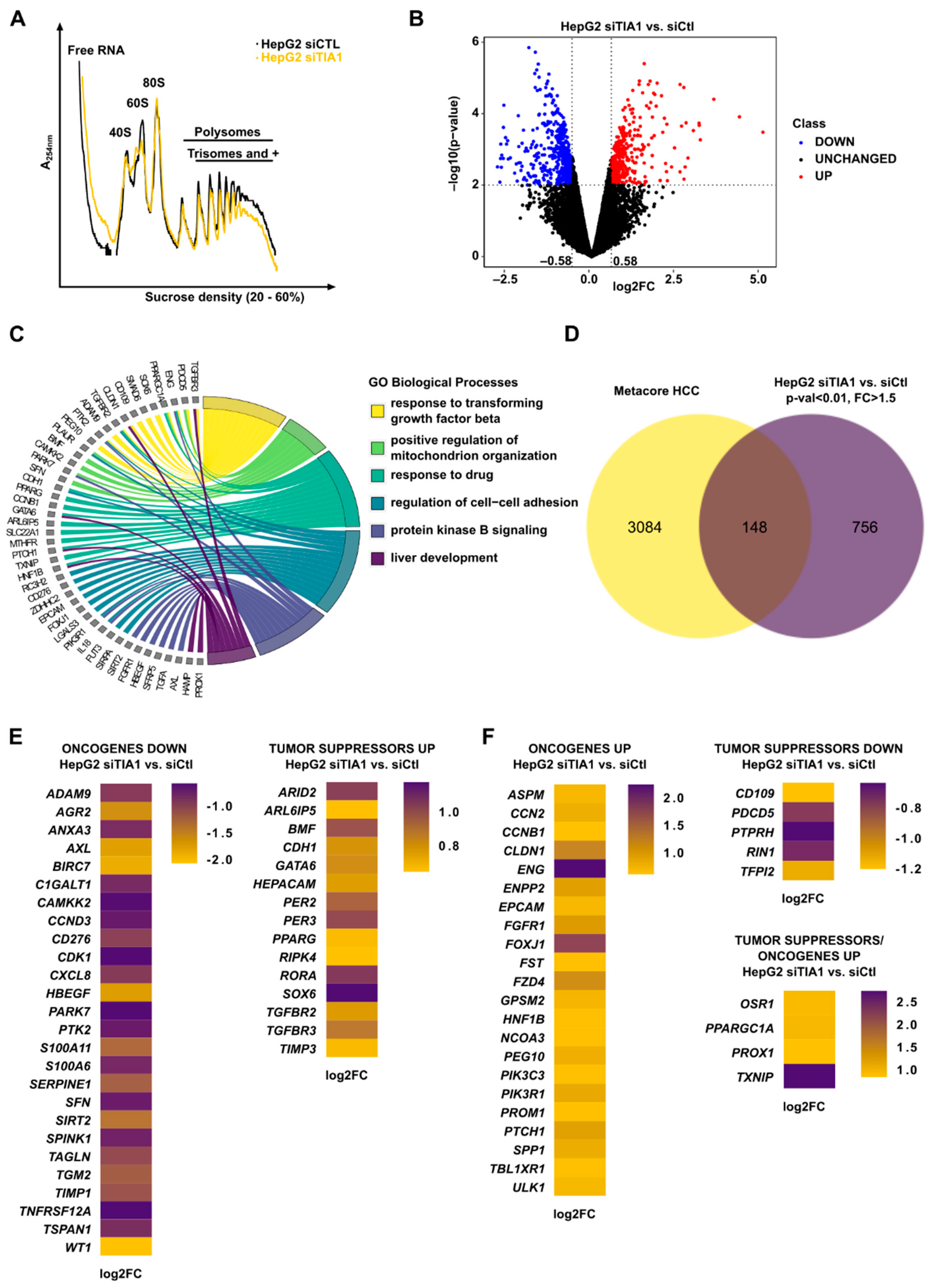 Cancers 14 01704 g002