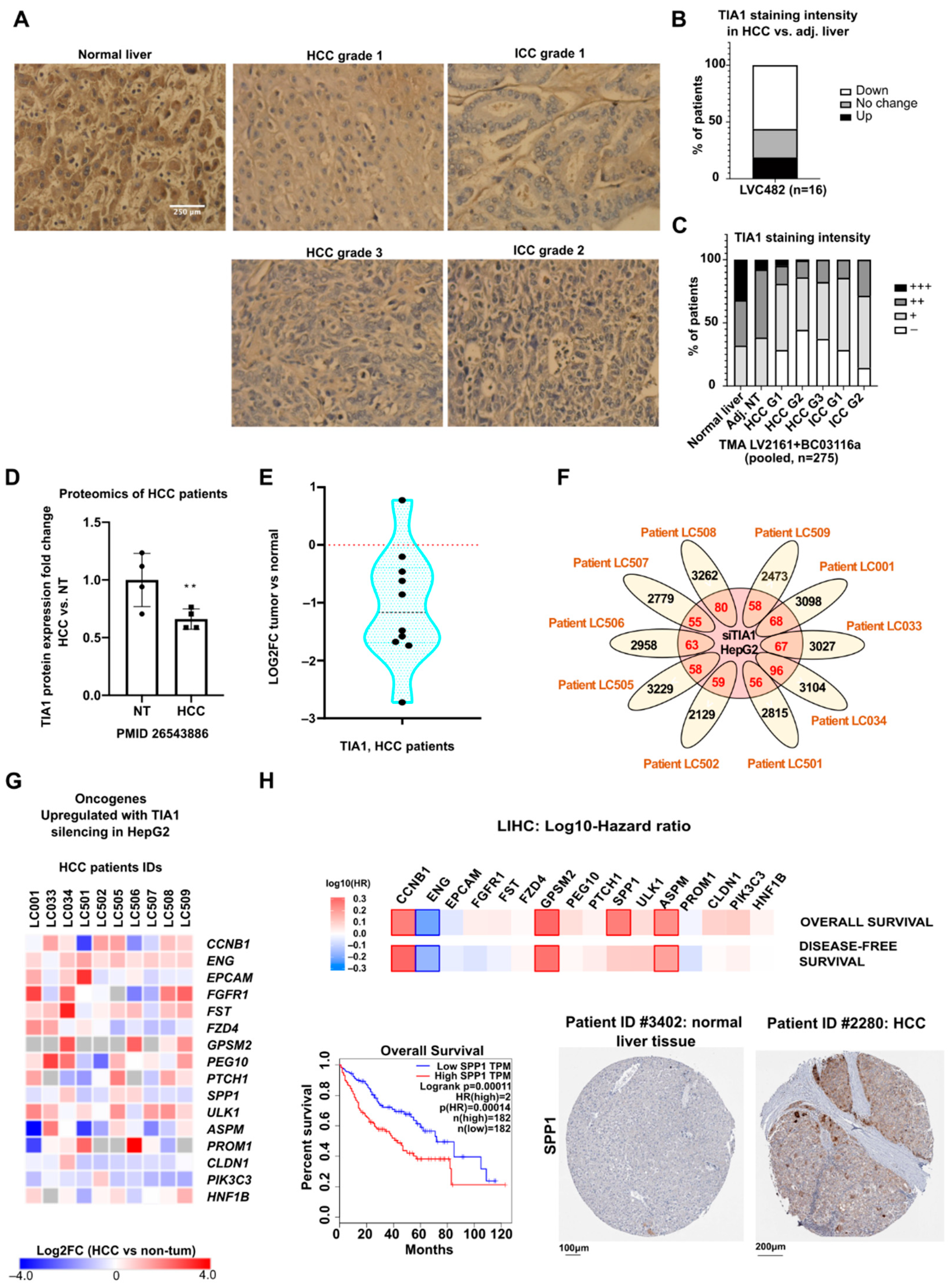 Cancers 14 01704 g005