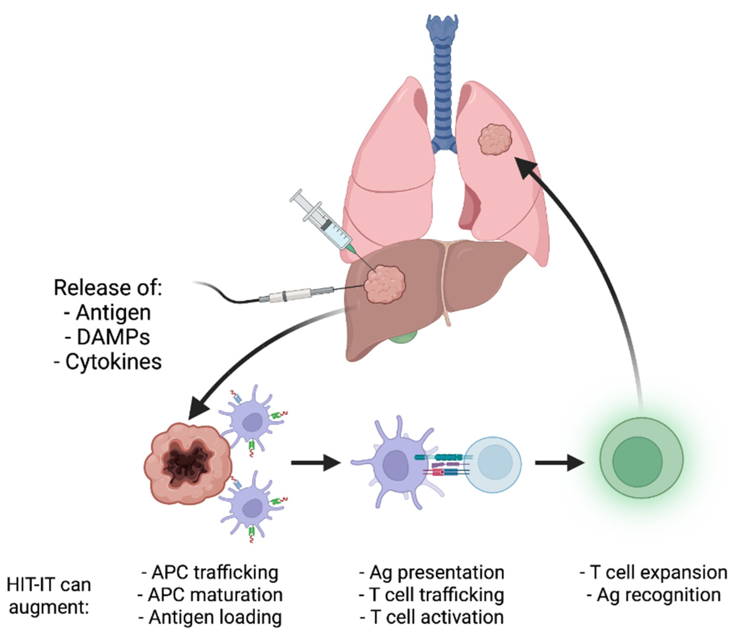 Cancers 14 01754 g001