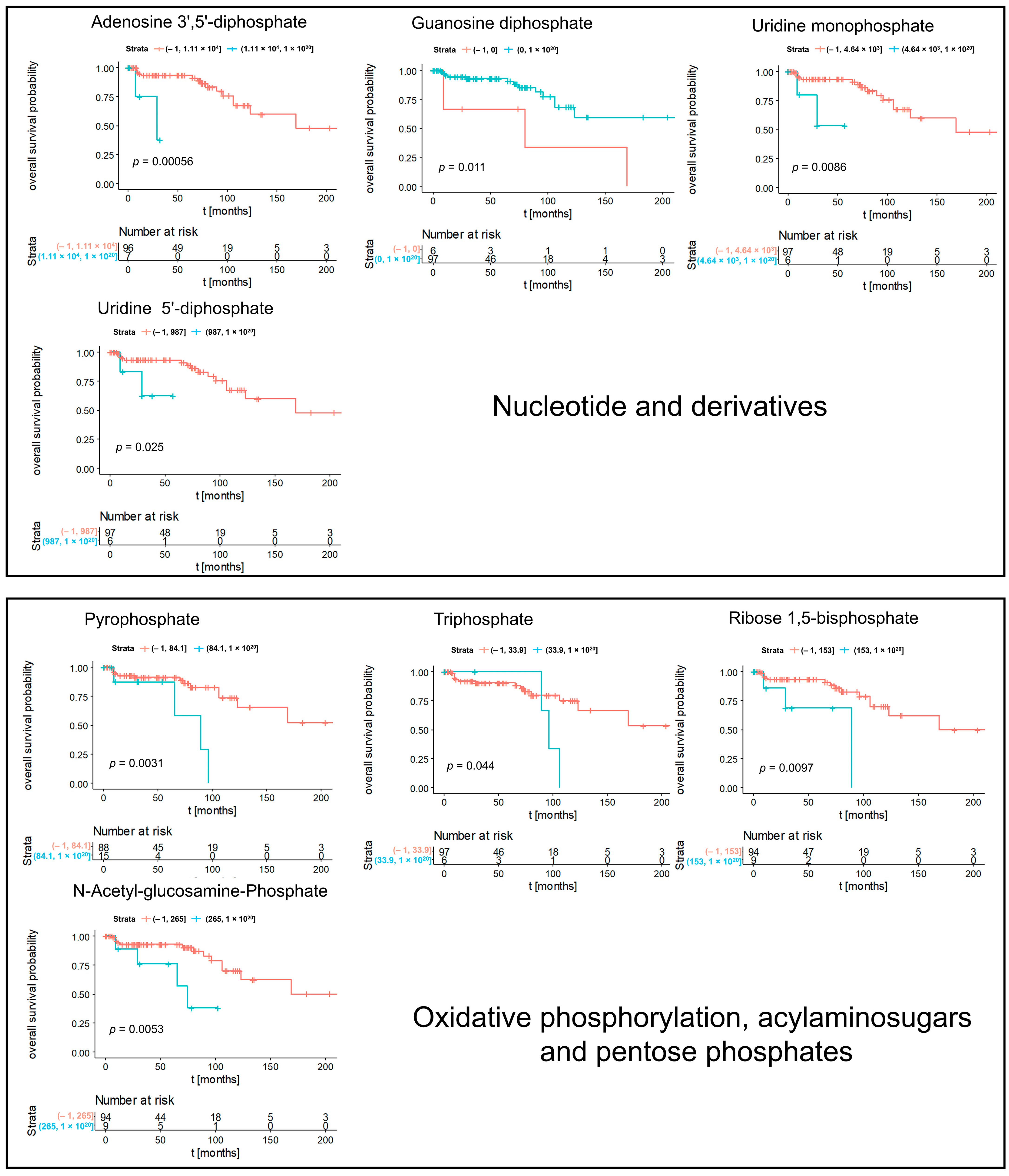 Cancers 14 01763 g005a