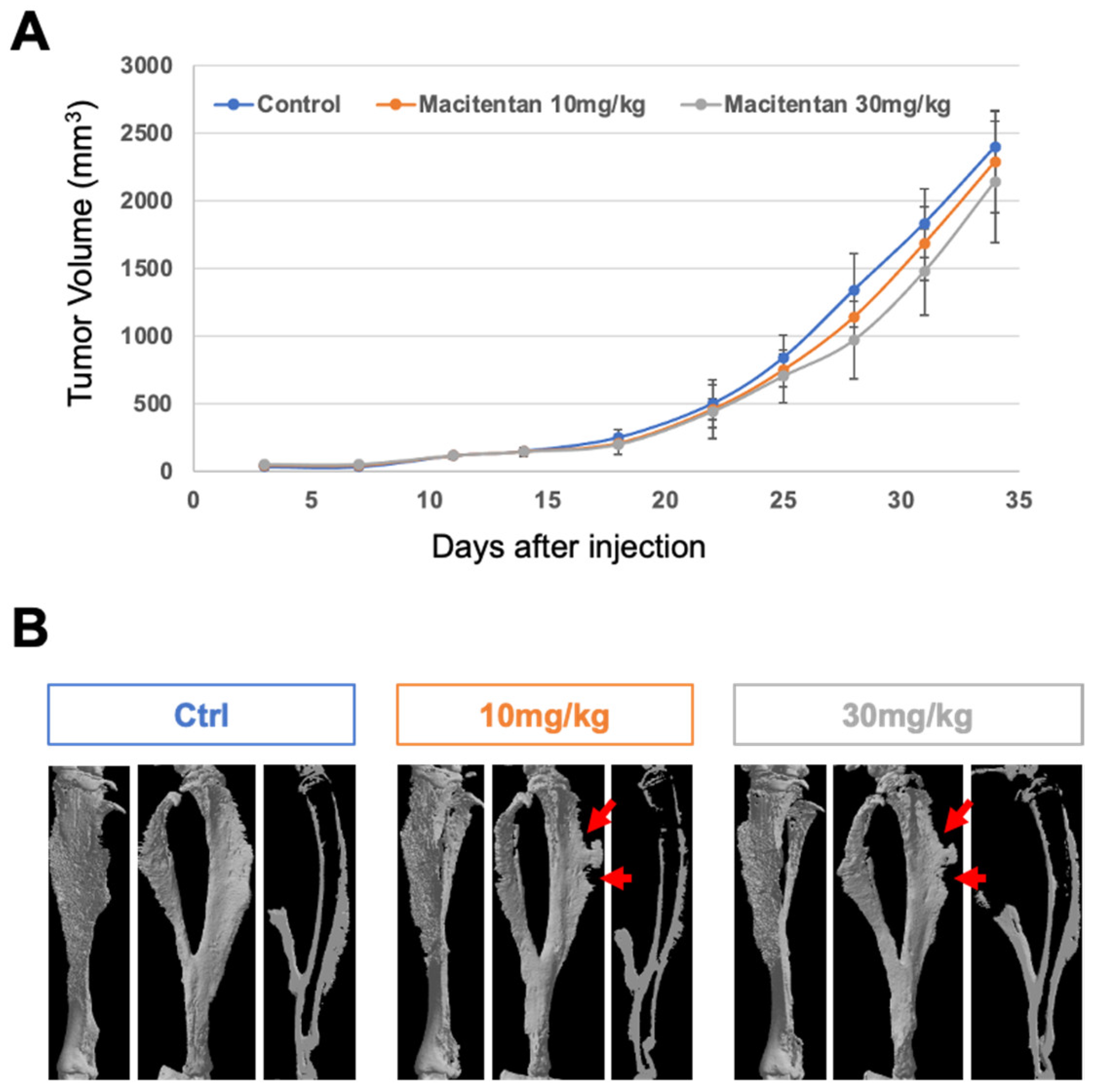 Cancers 14 01765 g002 Cancers 14 01765 g002
