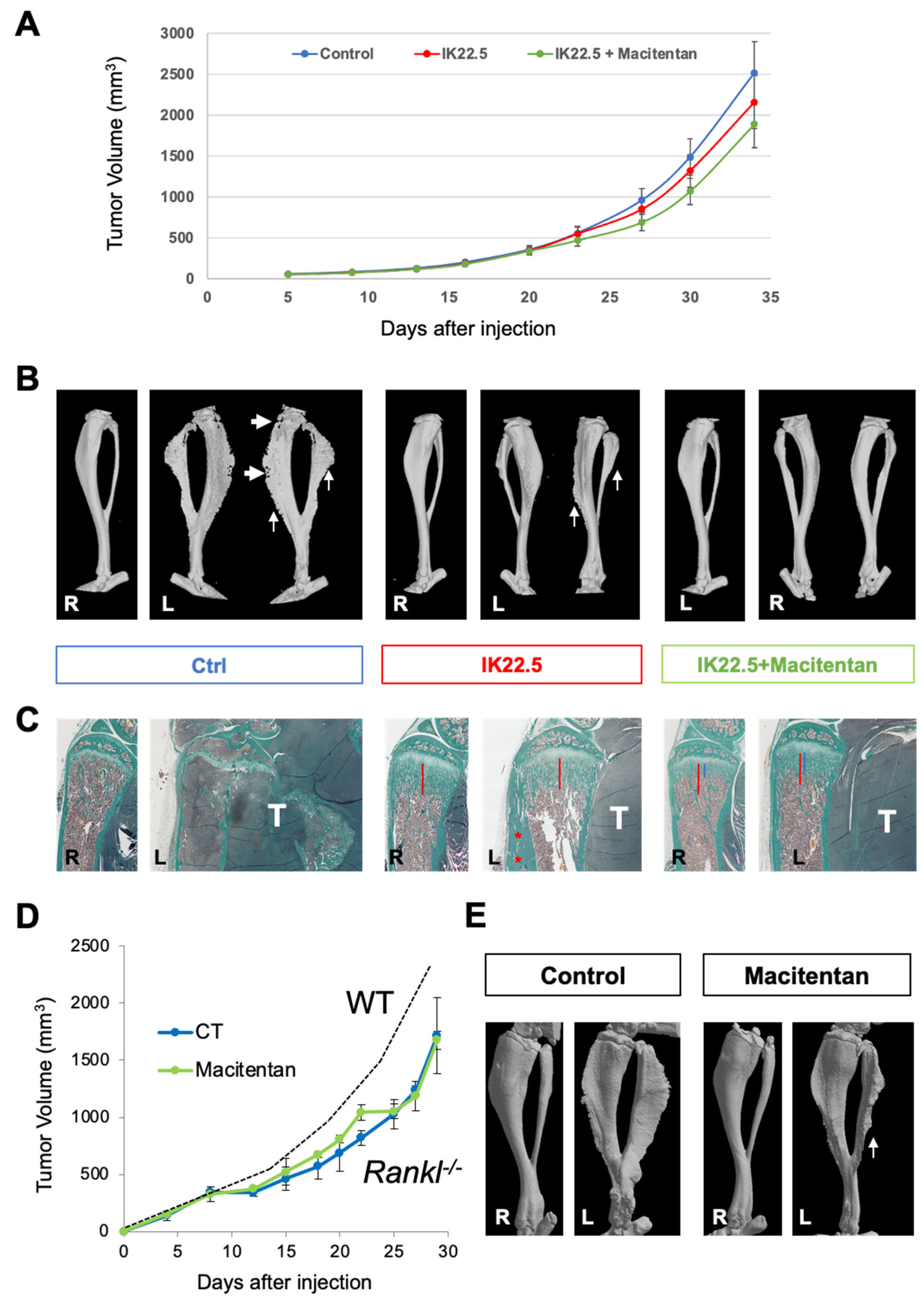 Cancers 14 01765 g003 Cancers 14 01765 g003