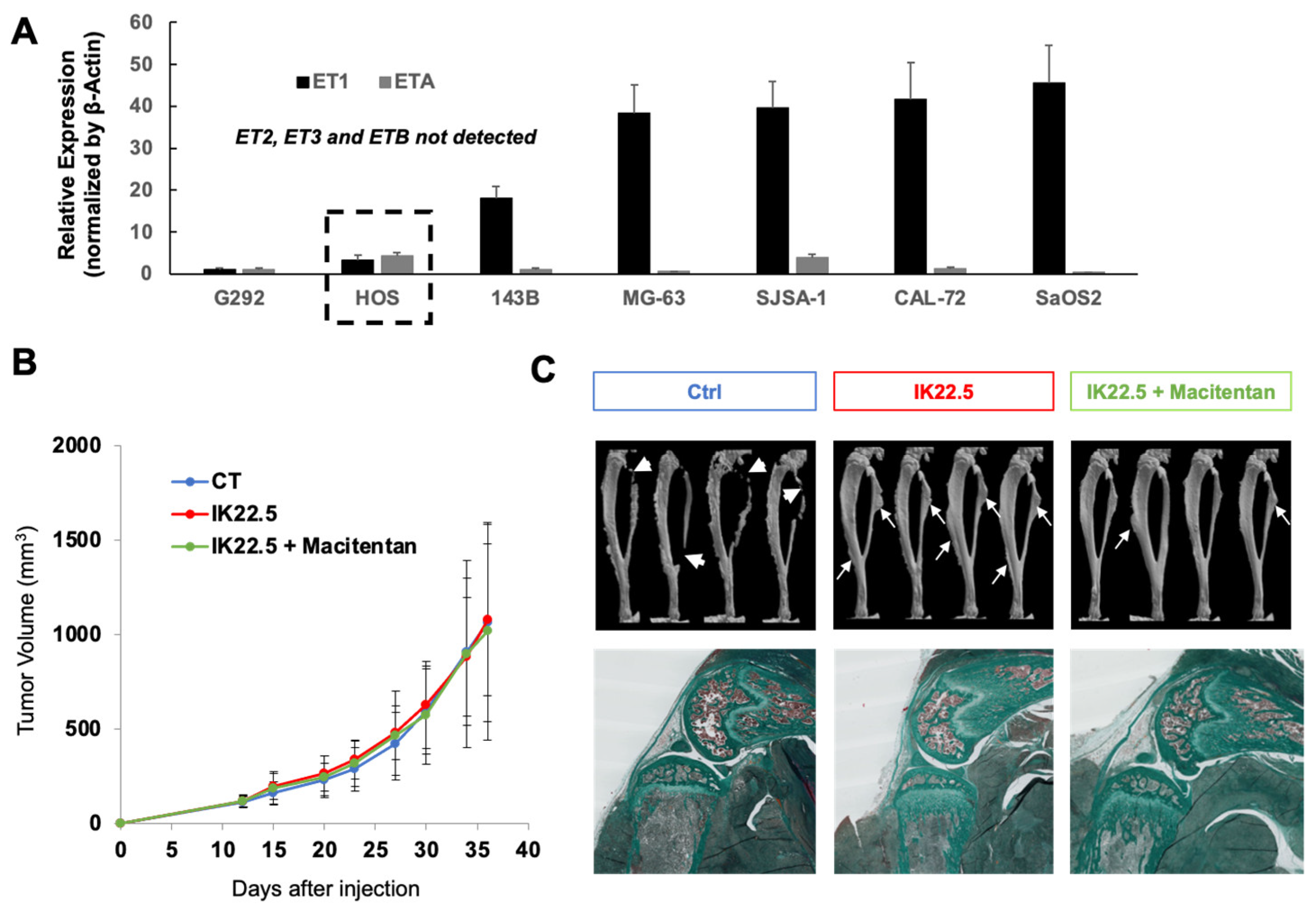 Cancers 14 01765 g004 Cancers 14 01765 g004