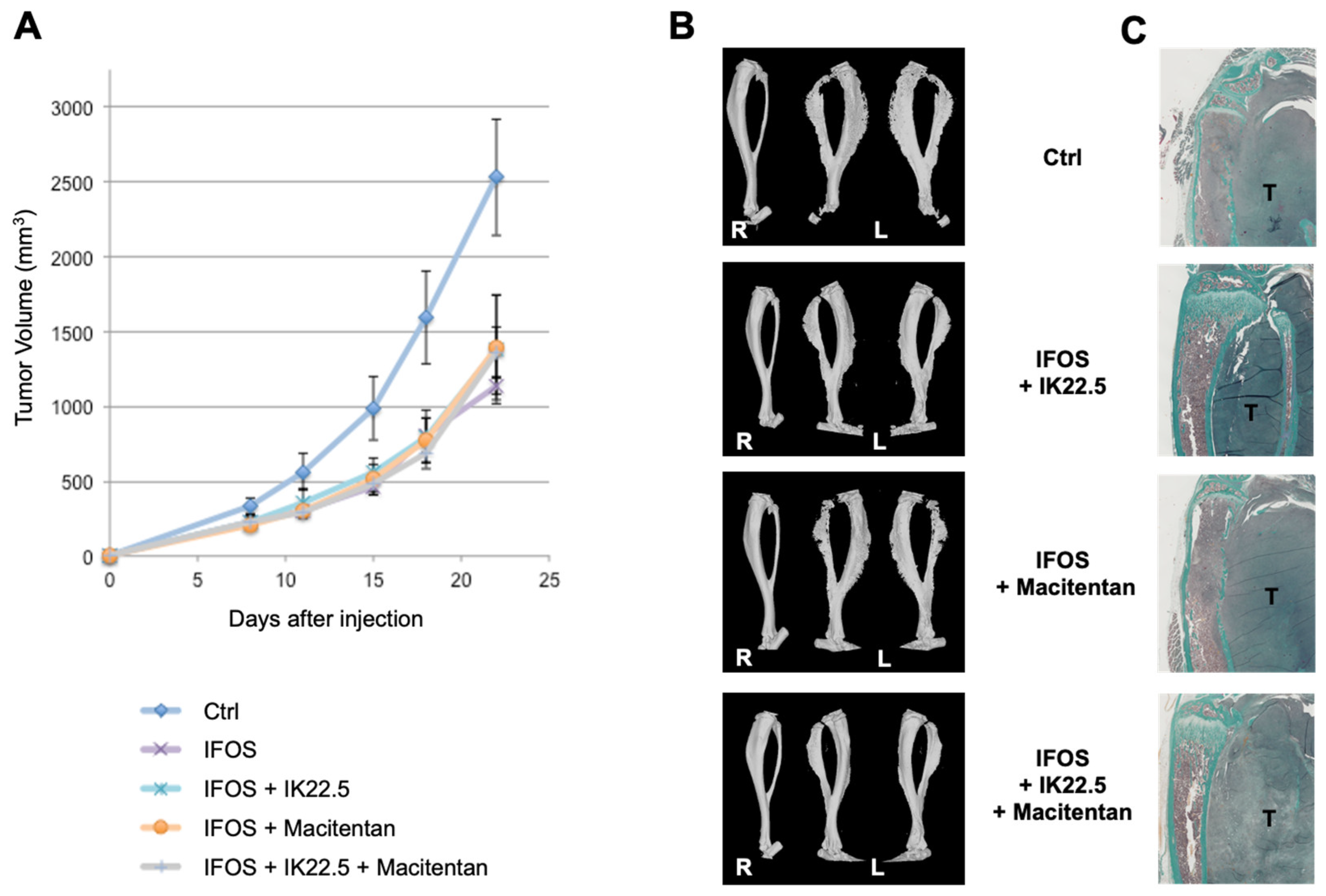 Cancers 14 01765 g005 Cancers 14 01765 g005