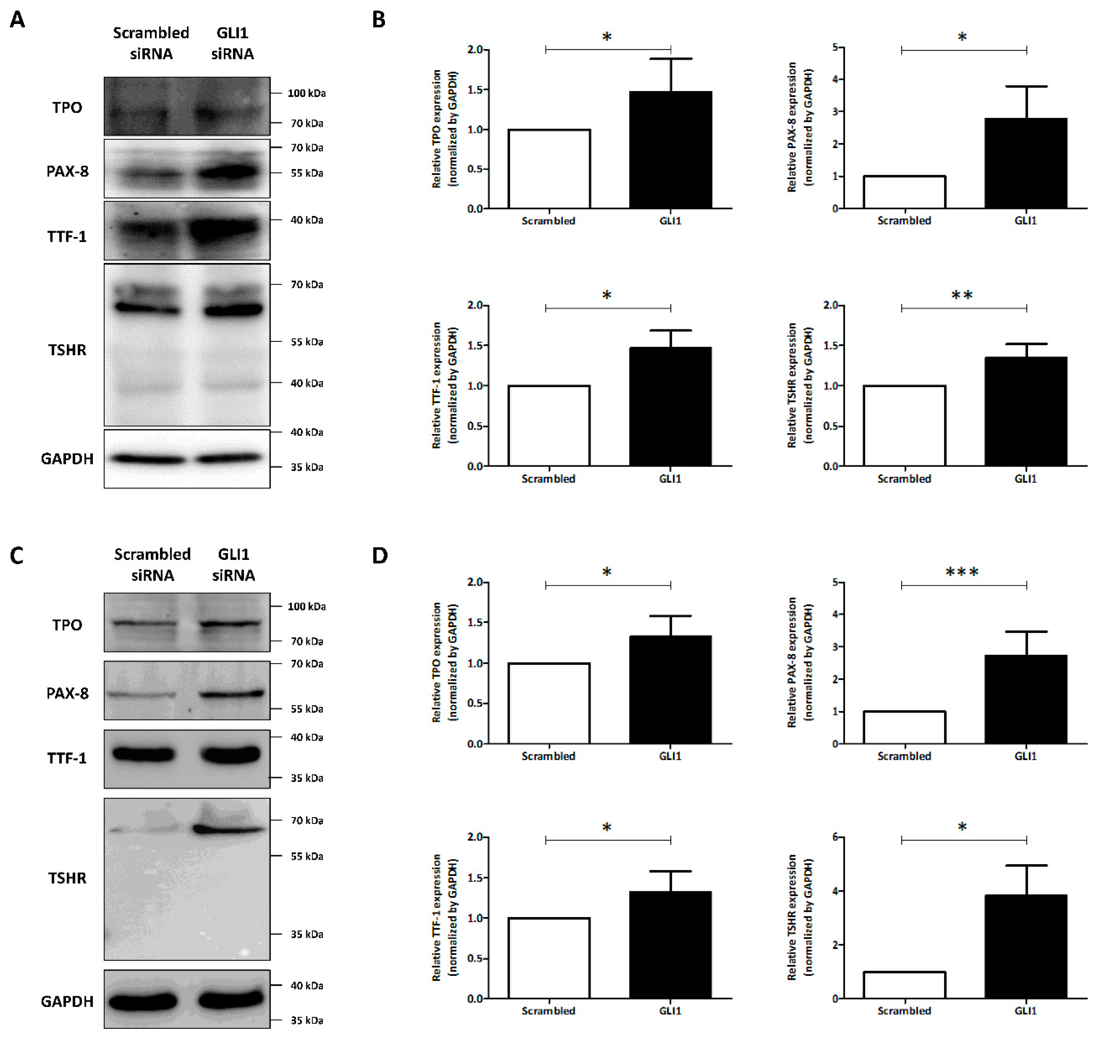 Cancers 14 01782 g003 Cancers 14 01782 g003