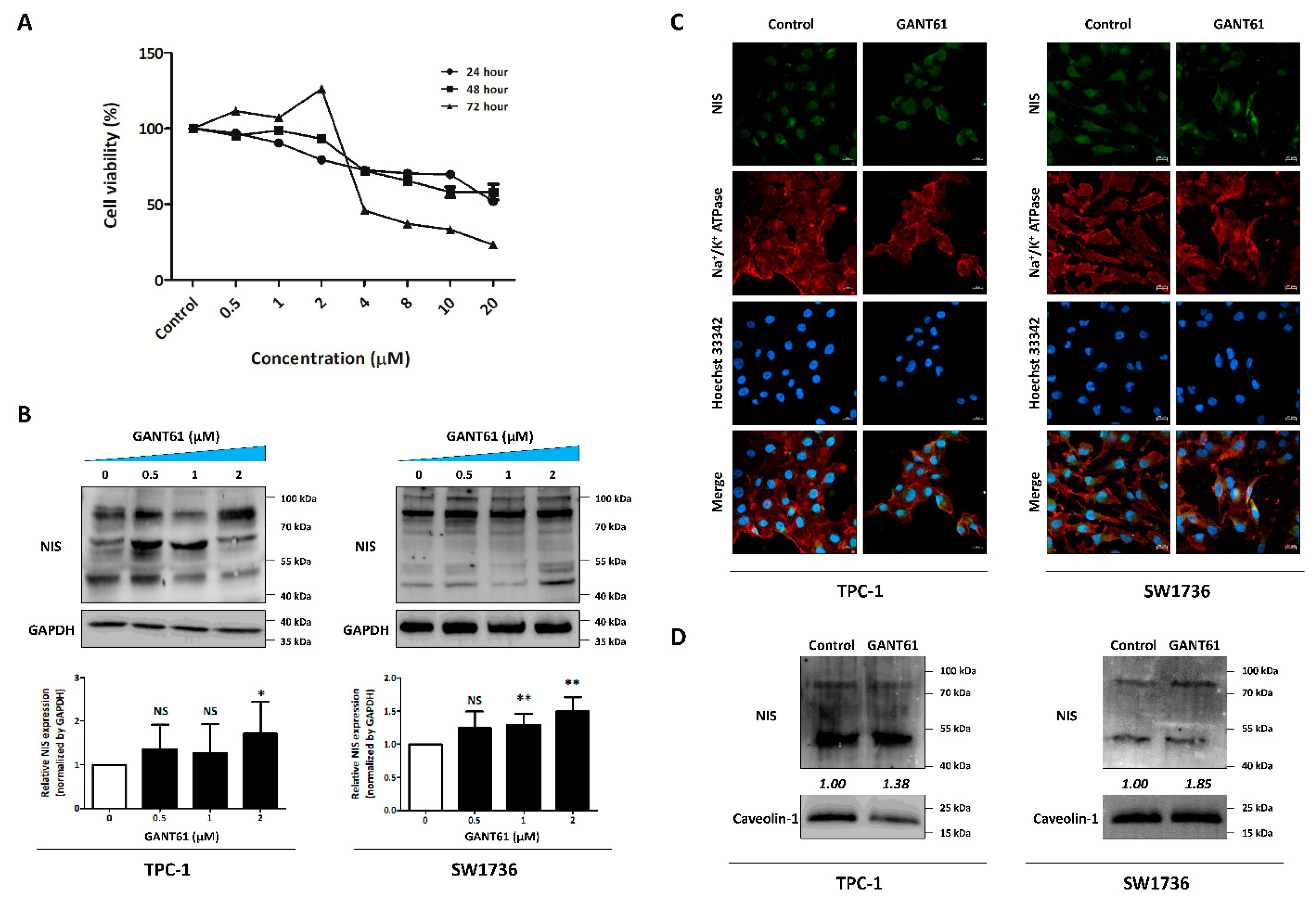 Cancers 14 01782 g005 Cancers 14 01782 g005
