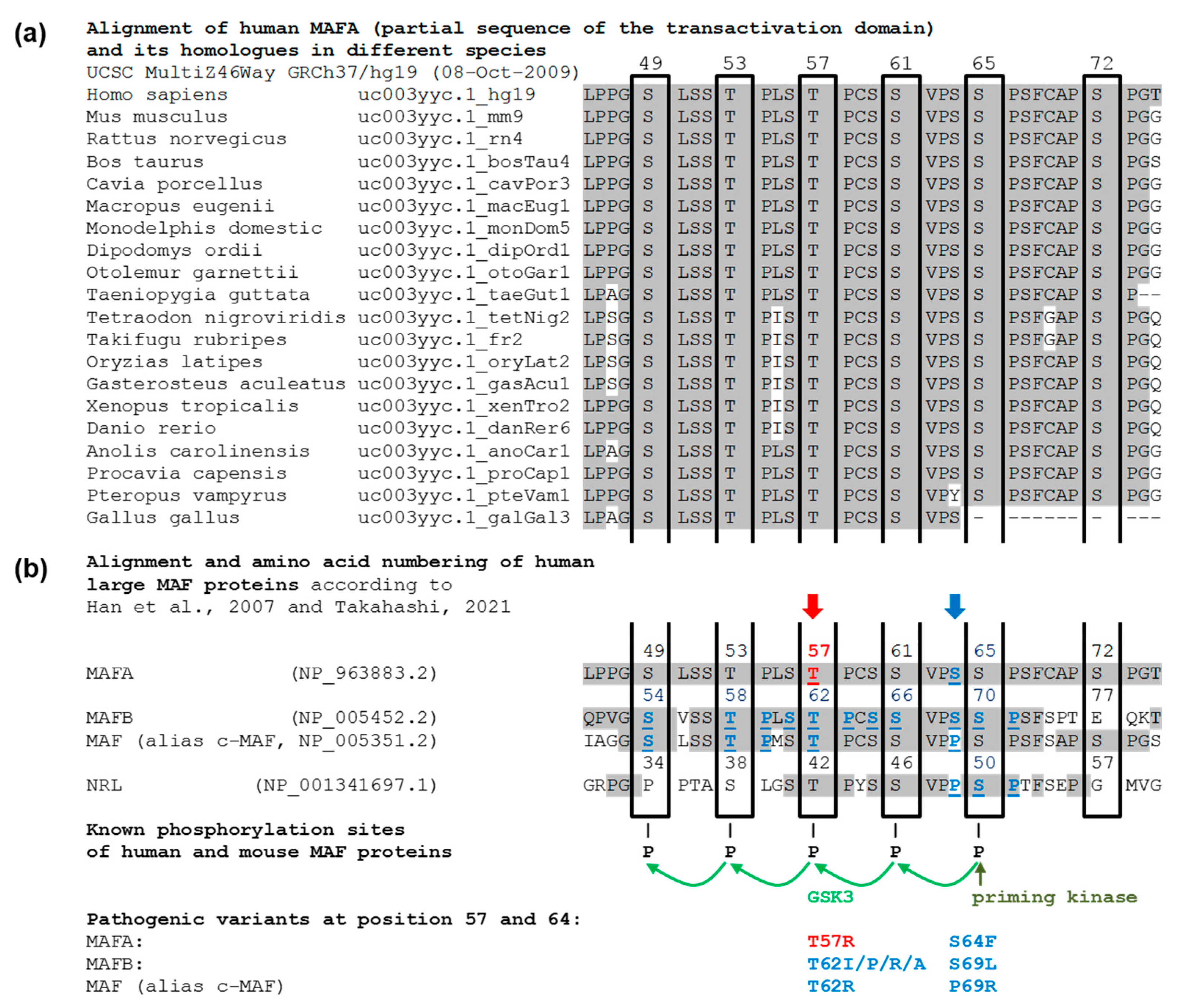 Cancers 14 01798 g006