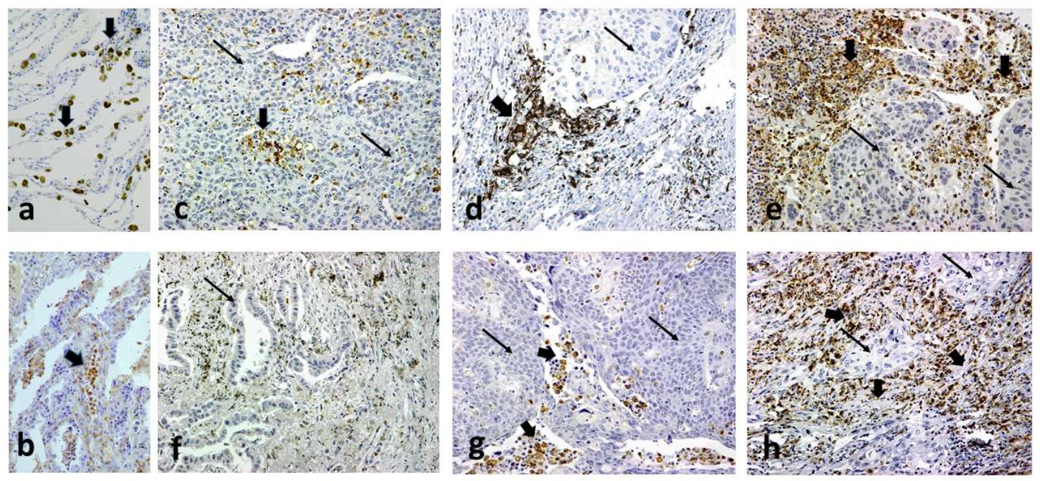 Cancers 14 01801 g003