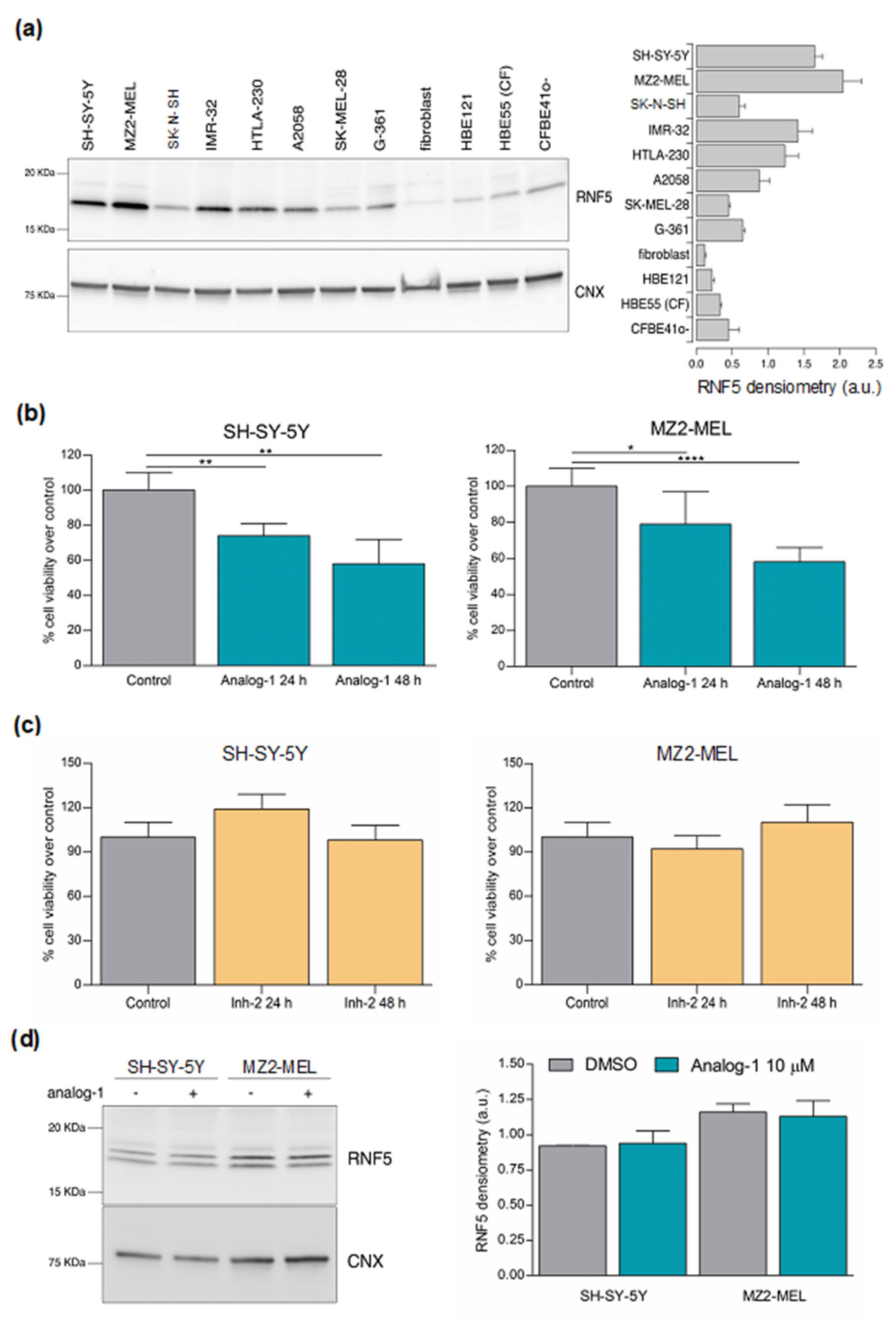 Cancers 14 01802 g002 Cancers 14 01802 g002