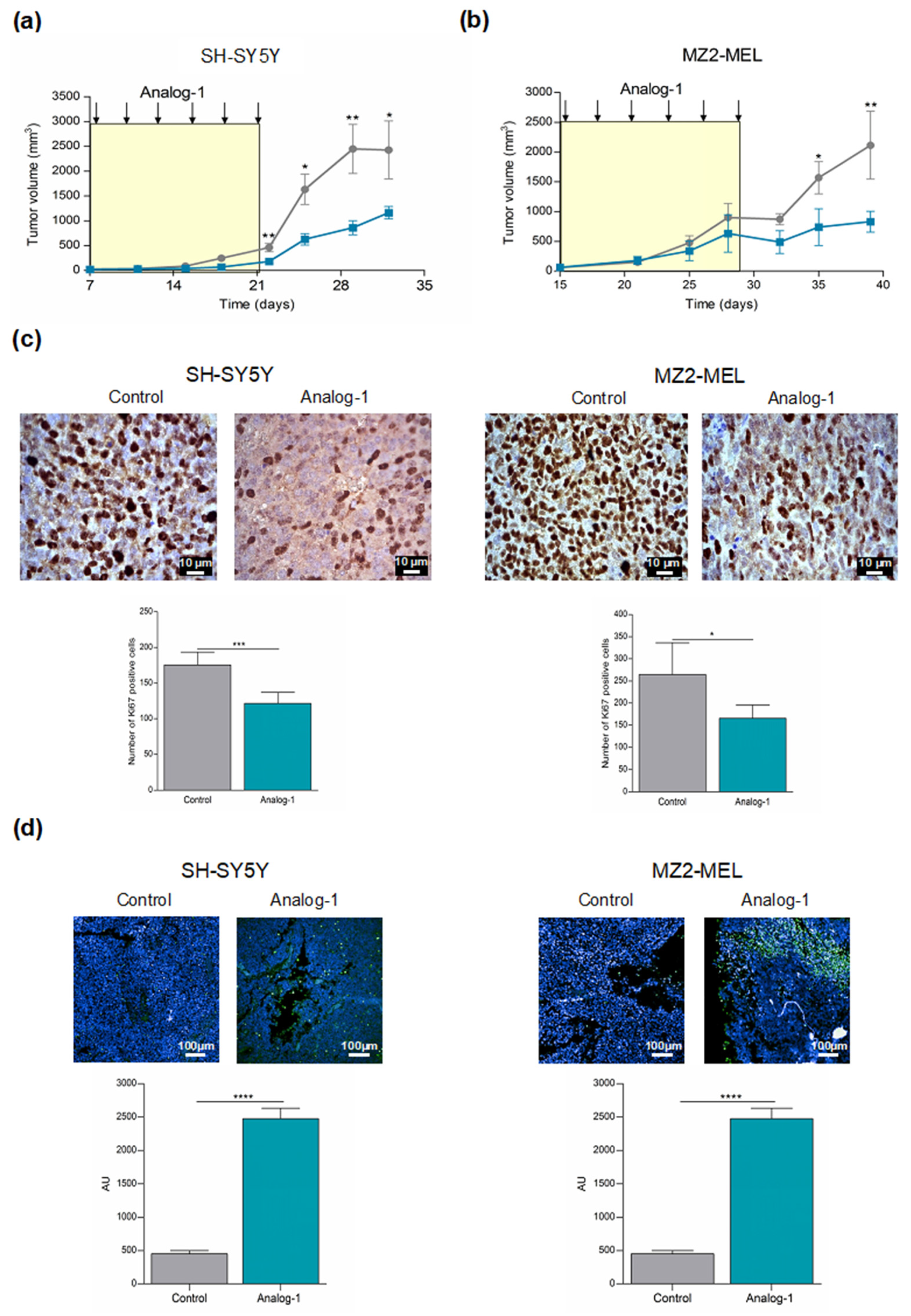 Cancers 14 01802 g006 Cancers 14 01802 g006