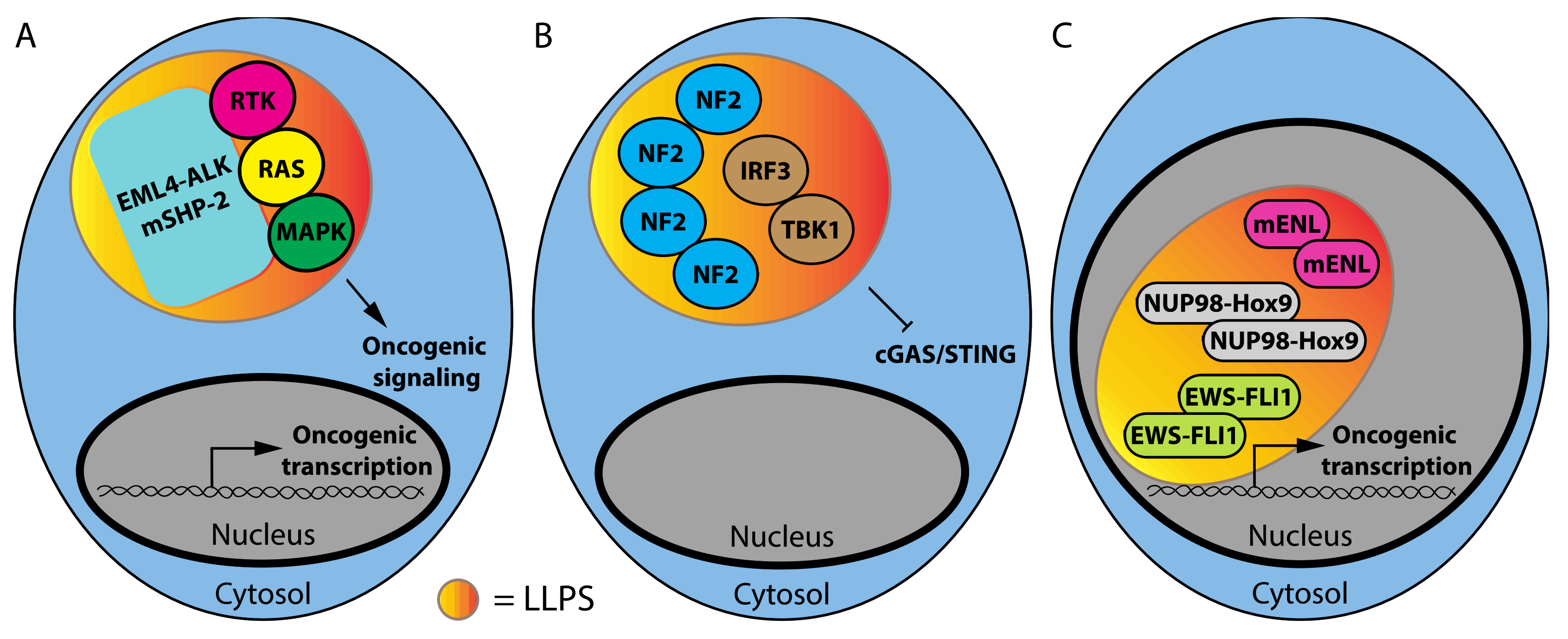Cancers 14 01830 g001