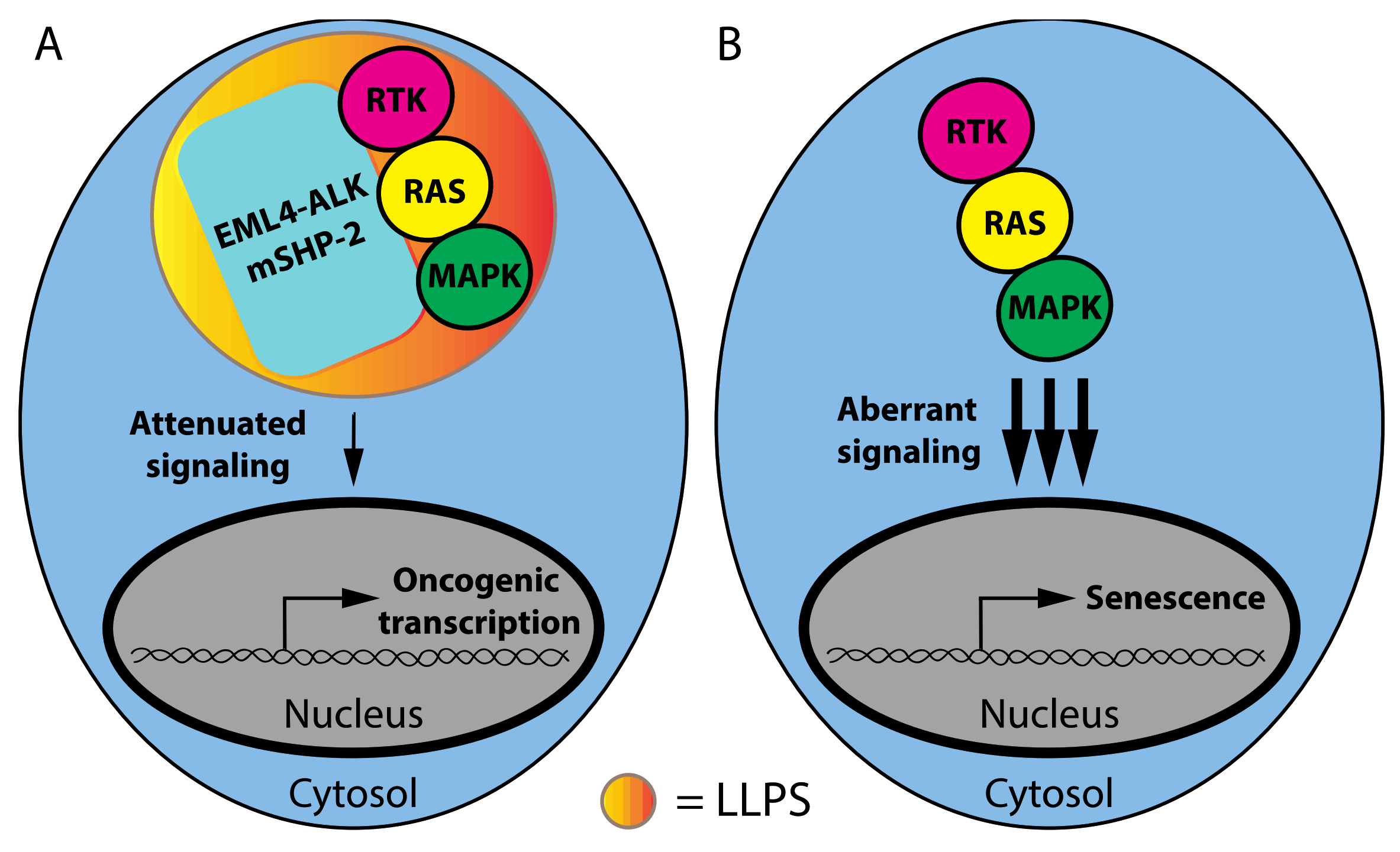 Cancers 14 01830 g002