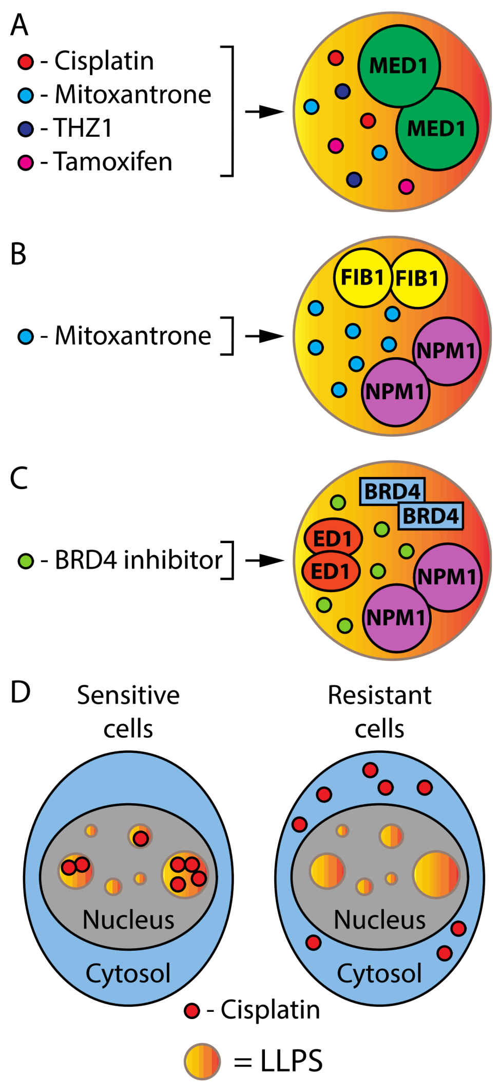 Cancers 14 01830 g005