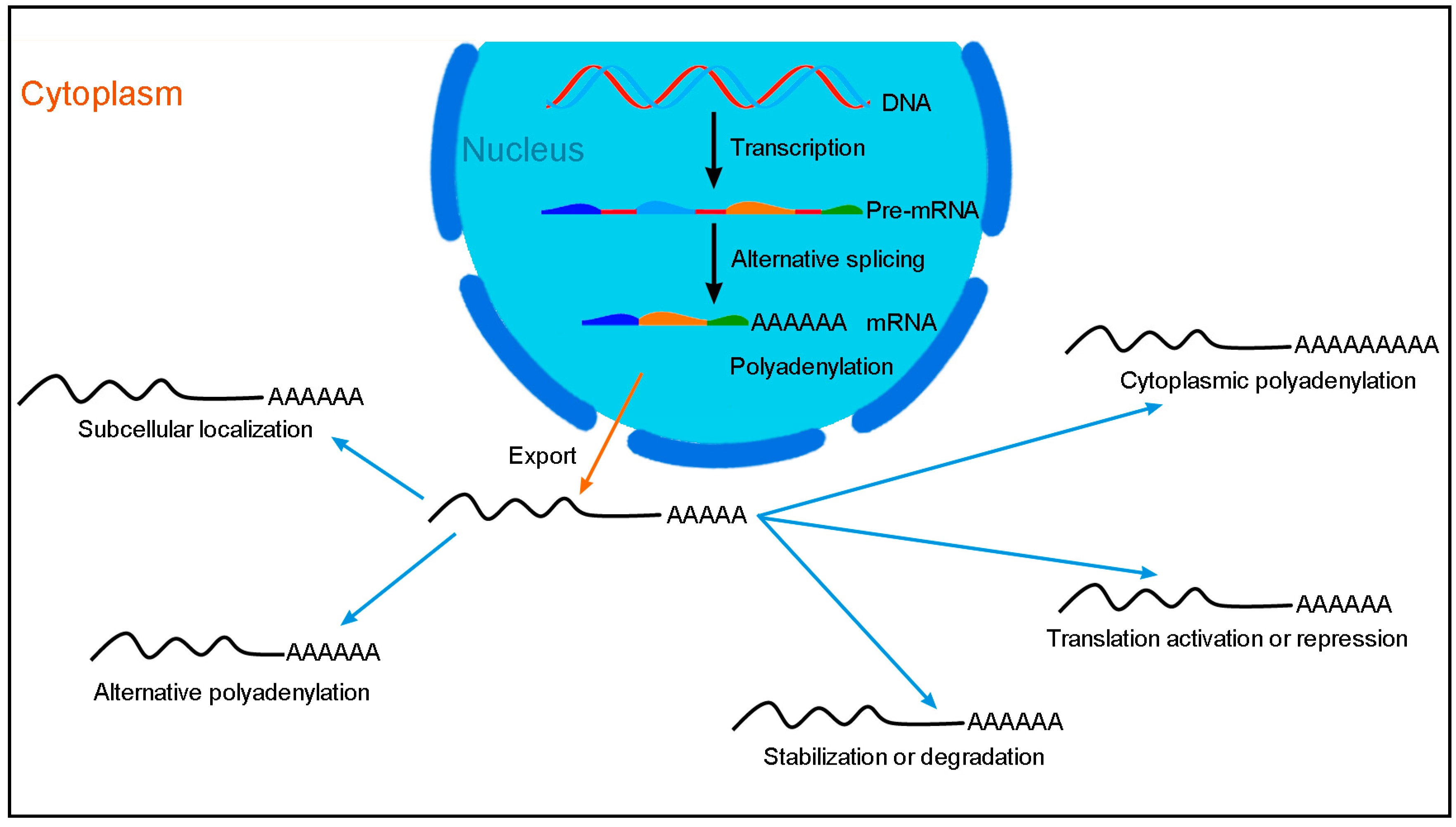 Cancers 14 01843 g001 Cancers 14 01843 g001