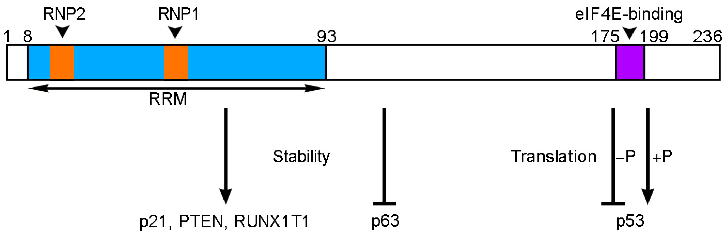 Cancers 14 01843 g002 Cancers 14 01843 g002