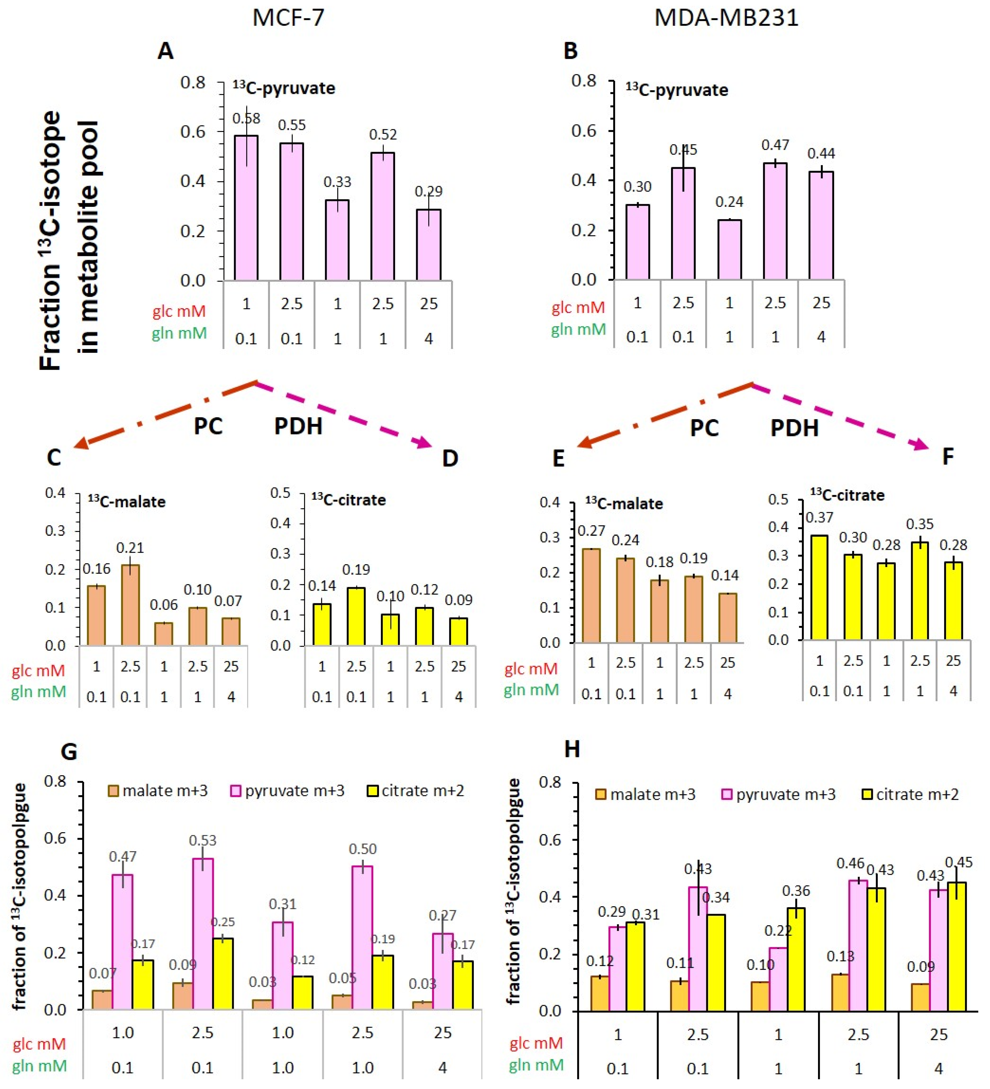 Cancers 14 01845 g008