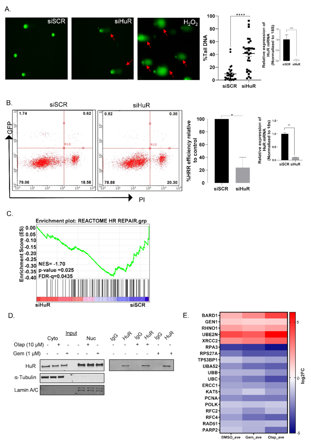 Cancers 14 01848 g001