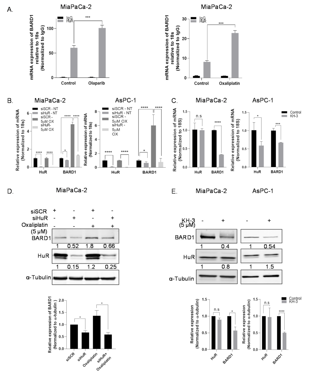 Cancers 14 01848 g002