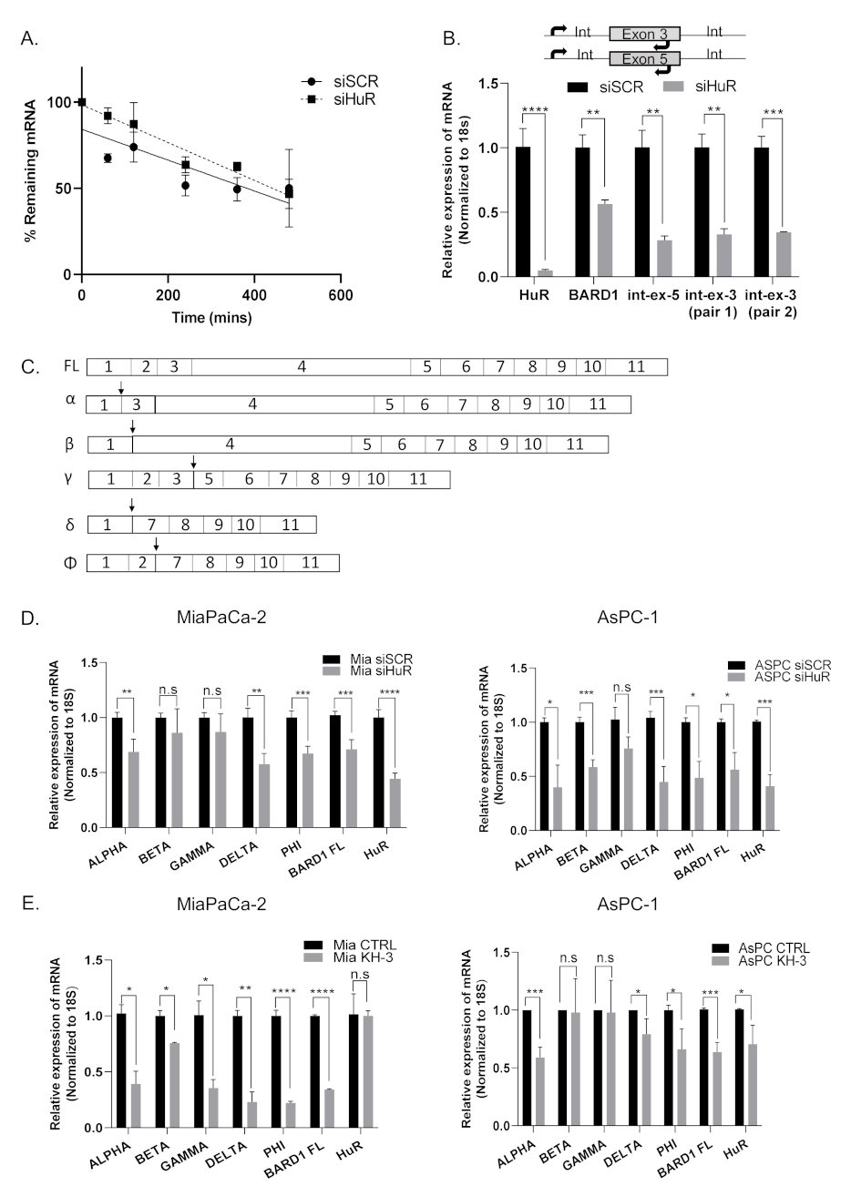 Cancers 14 01848 g003