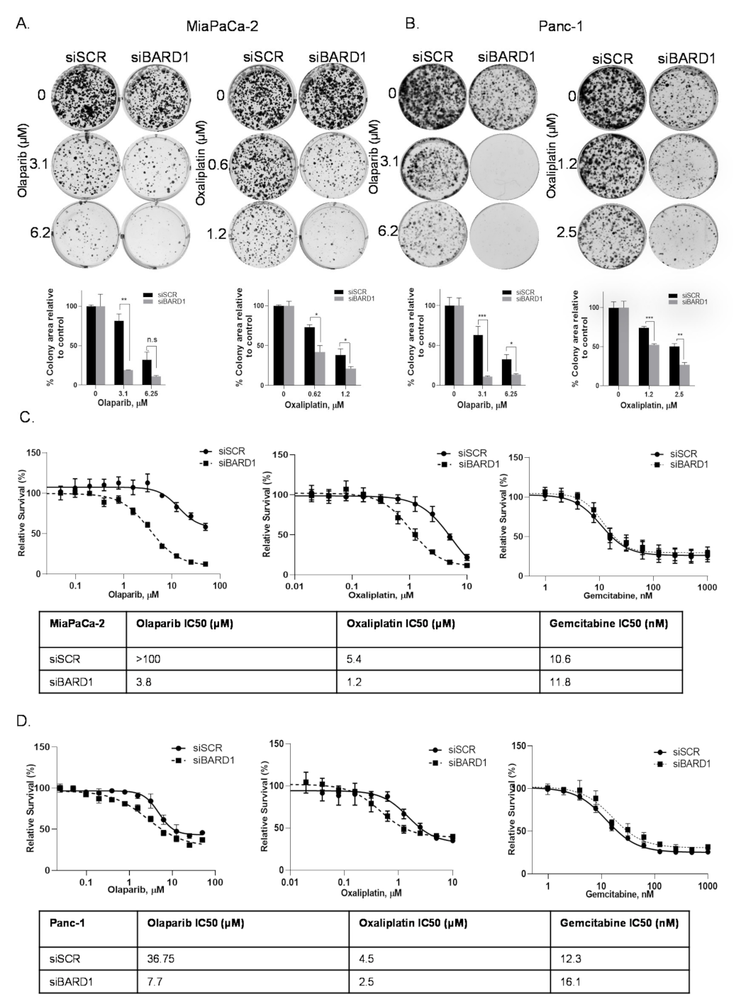 Cancers 14 01848 g004