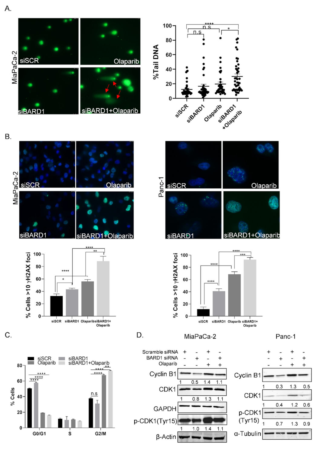 Cancers 14 01848 g005
